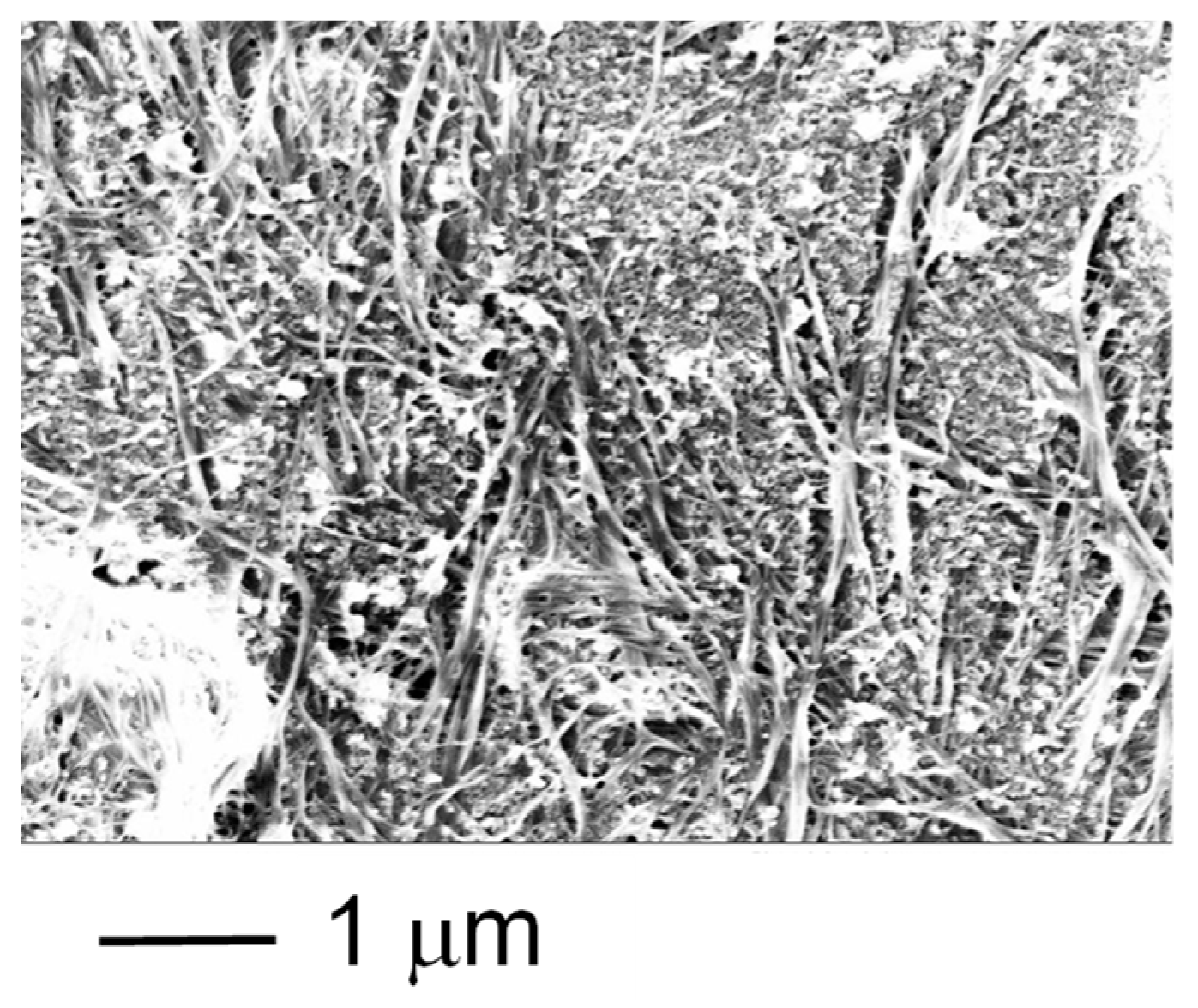 Chemengineering 03 00039 g002