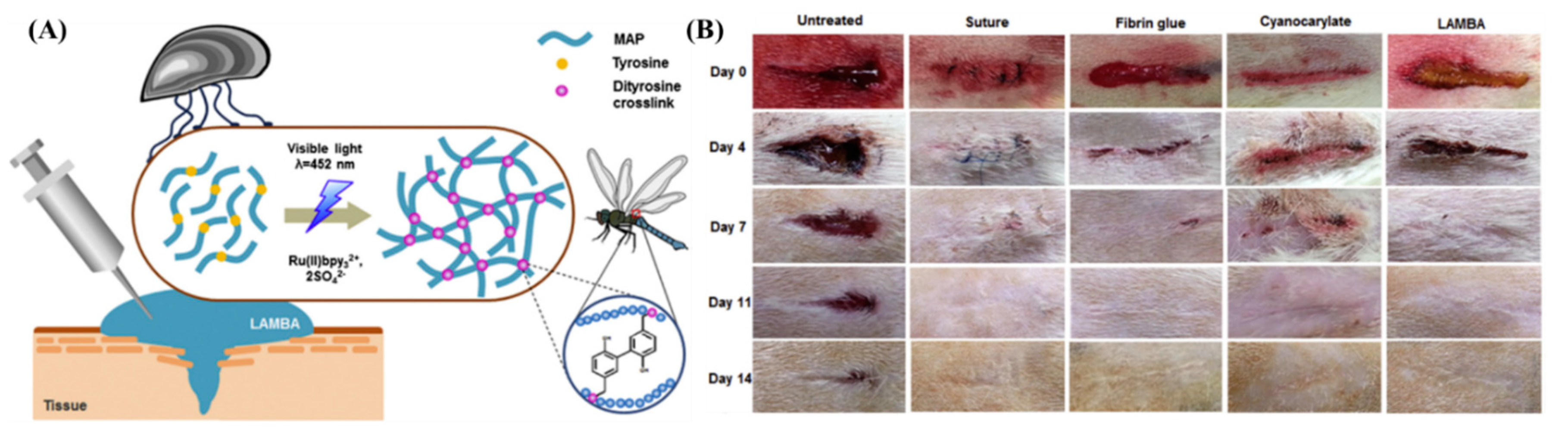 Chemengineering 04 00032 g003