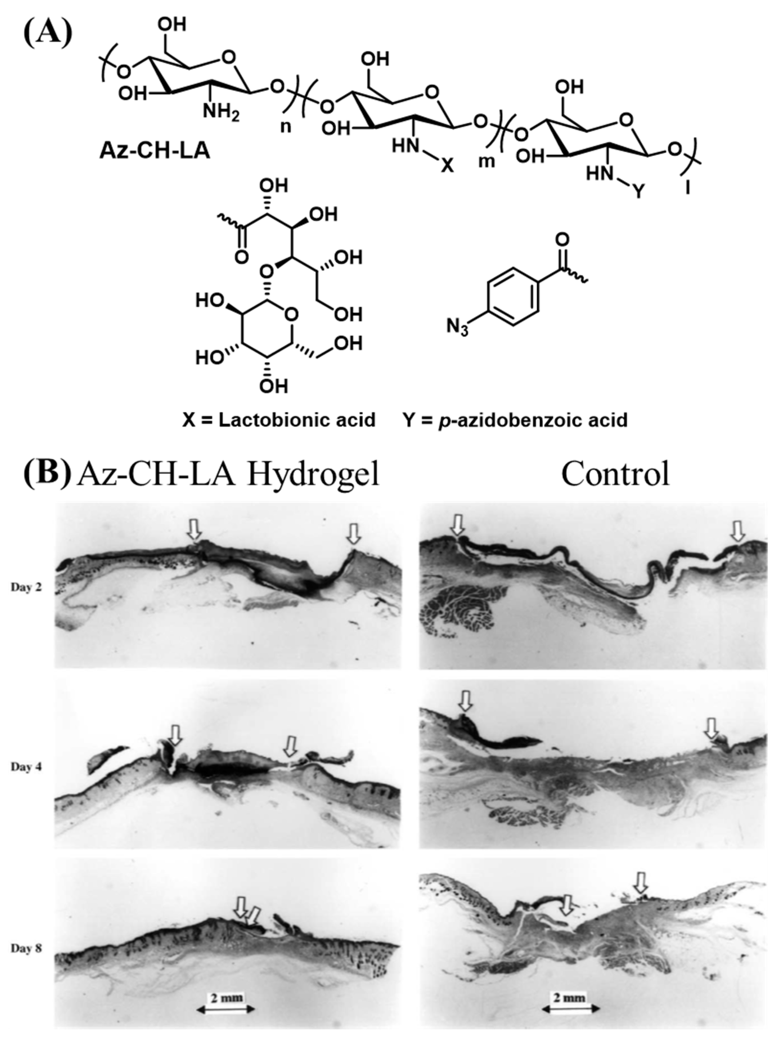 Chemengineering 04 00032 g004