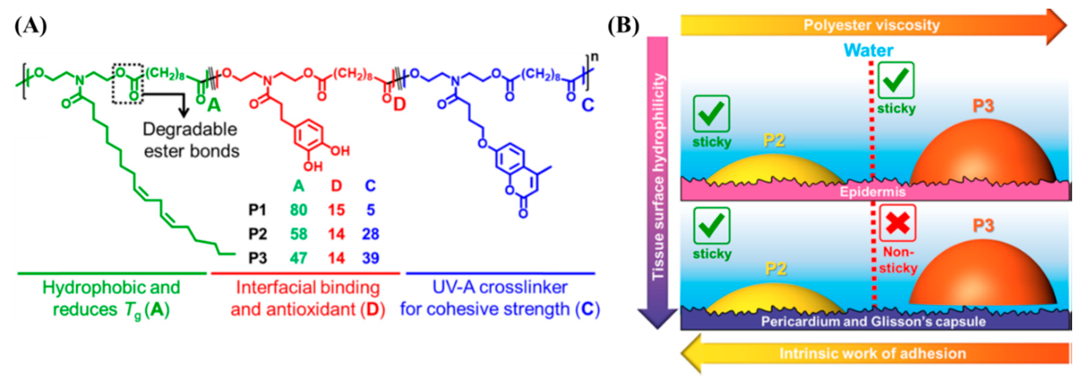 Chemengineering 04 00032 g006