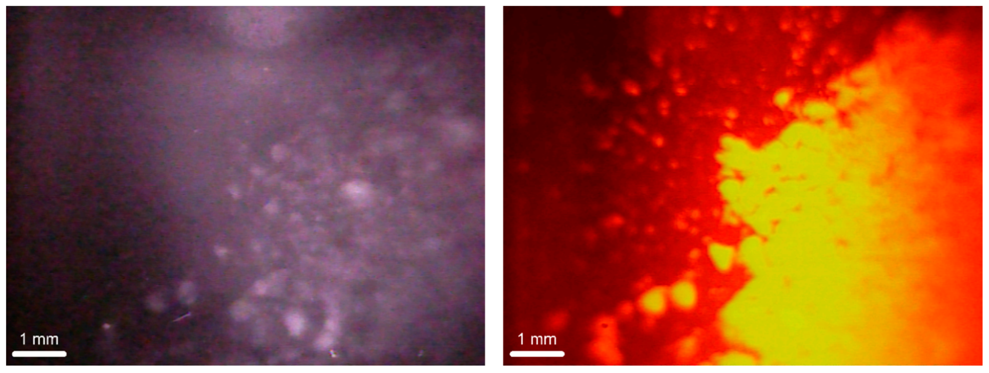Chemengineering 04 00053 g009