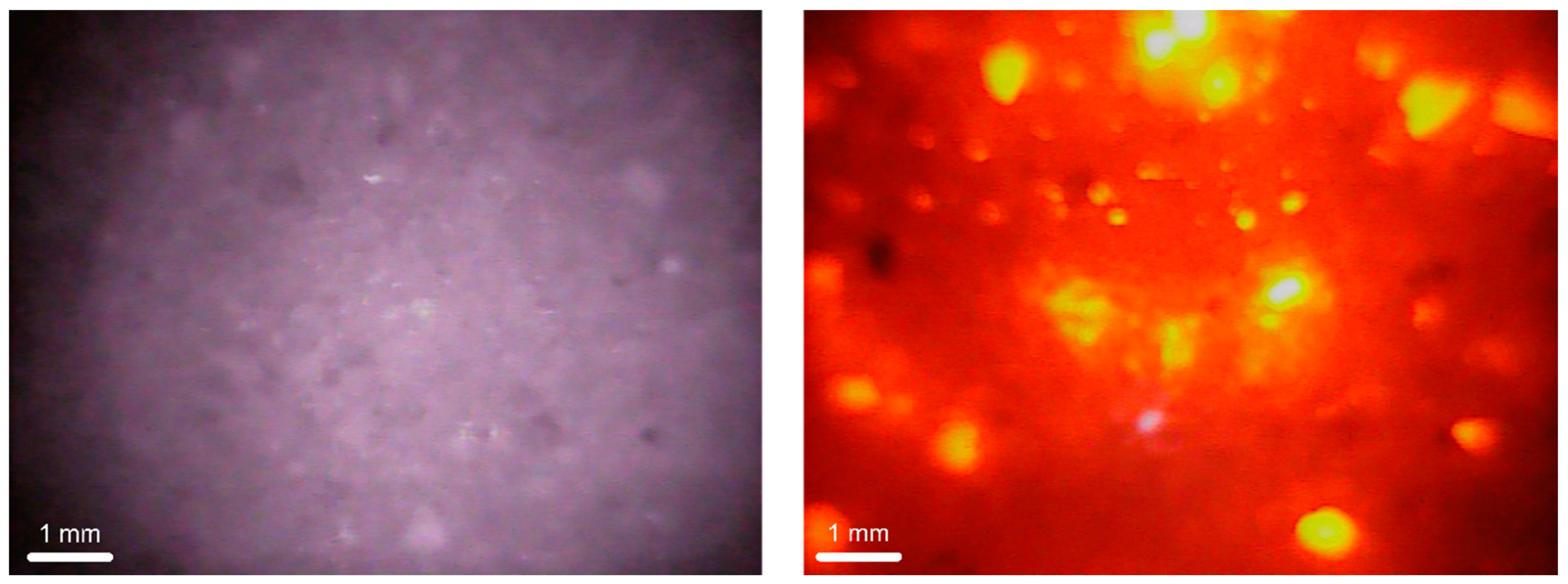 Chemengineering 04 00053 g010