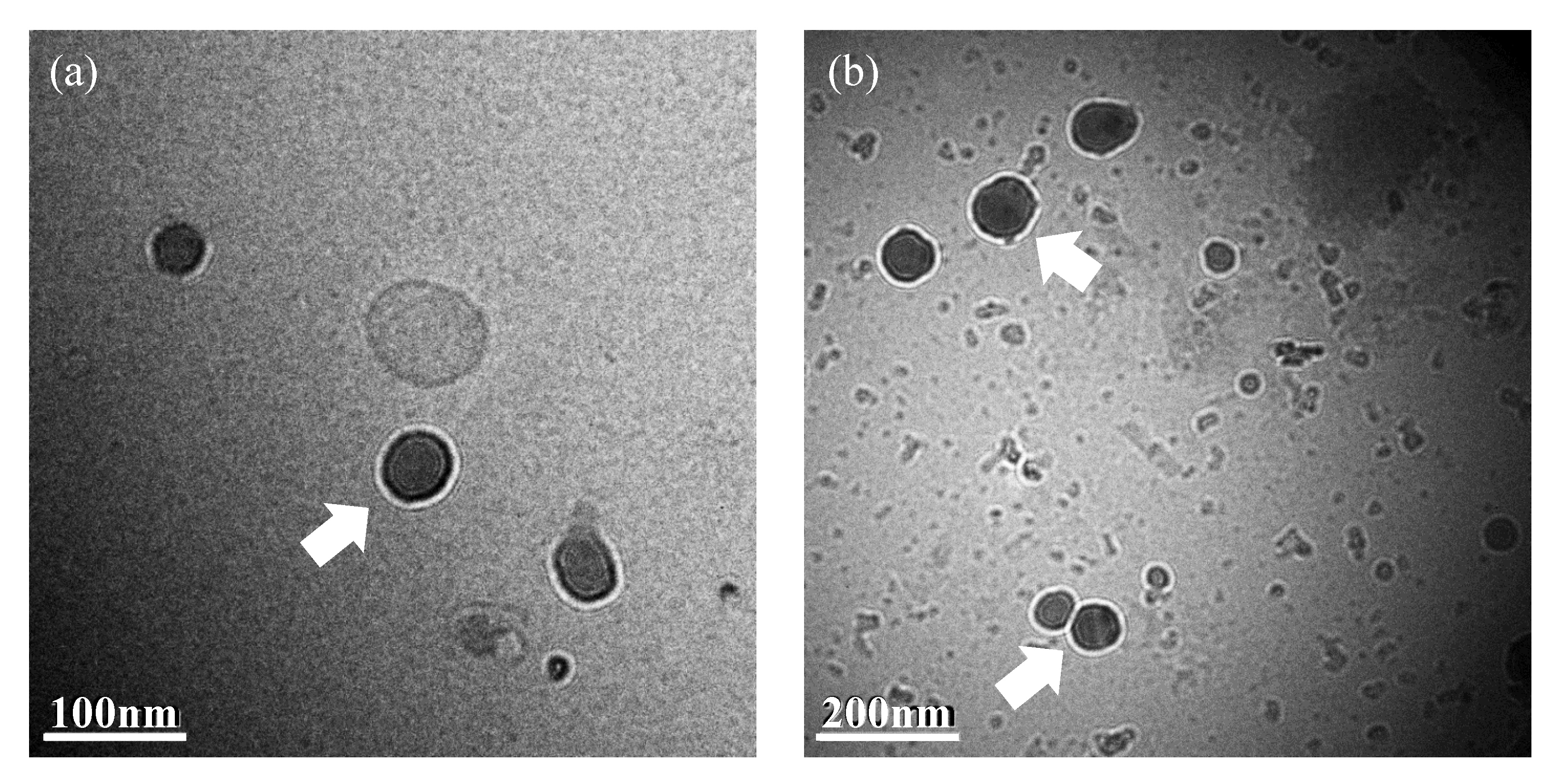 Chemengineering 05 00044 g006