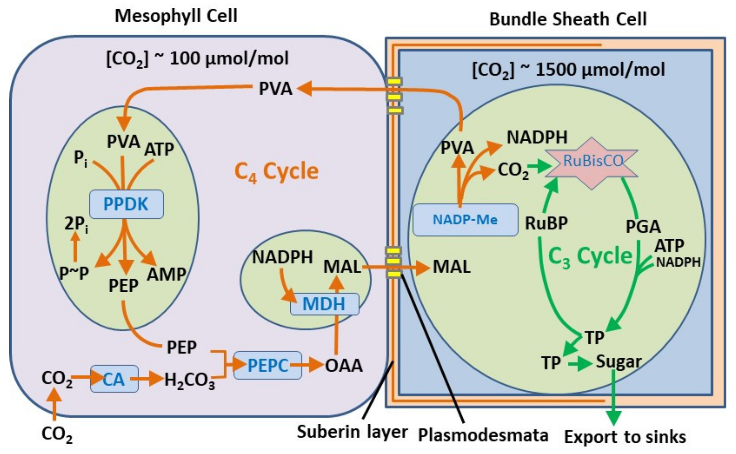 Chemengineering 05 00067 sch003