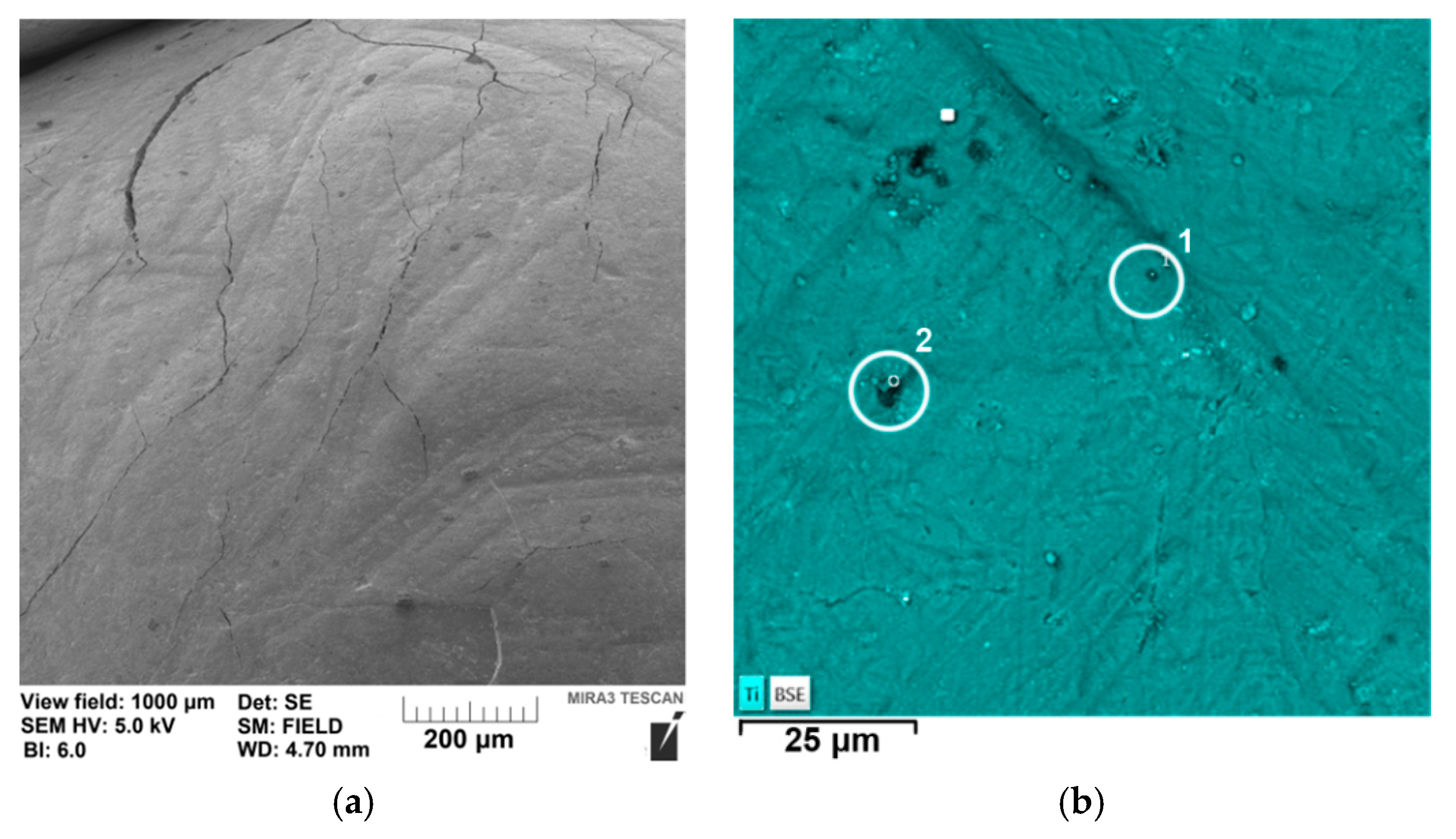 Chemengineering 05 00072 g001