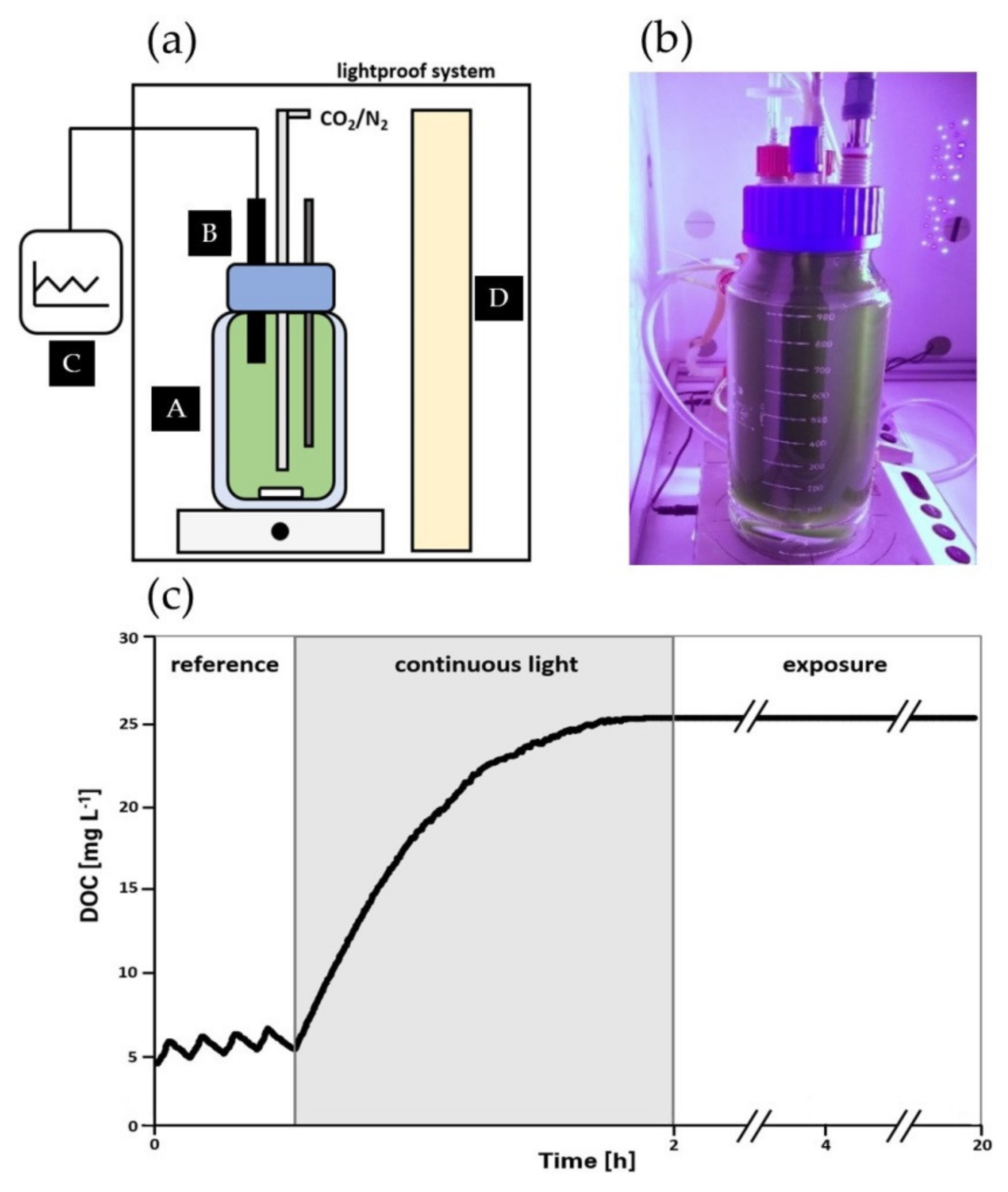 Chemengineering 06 00014 g001