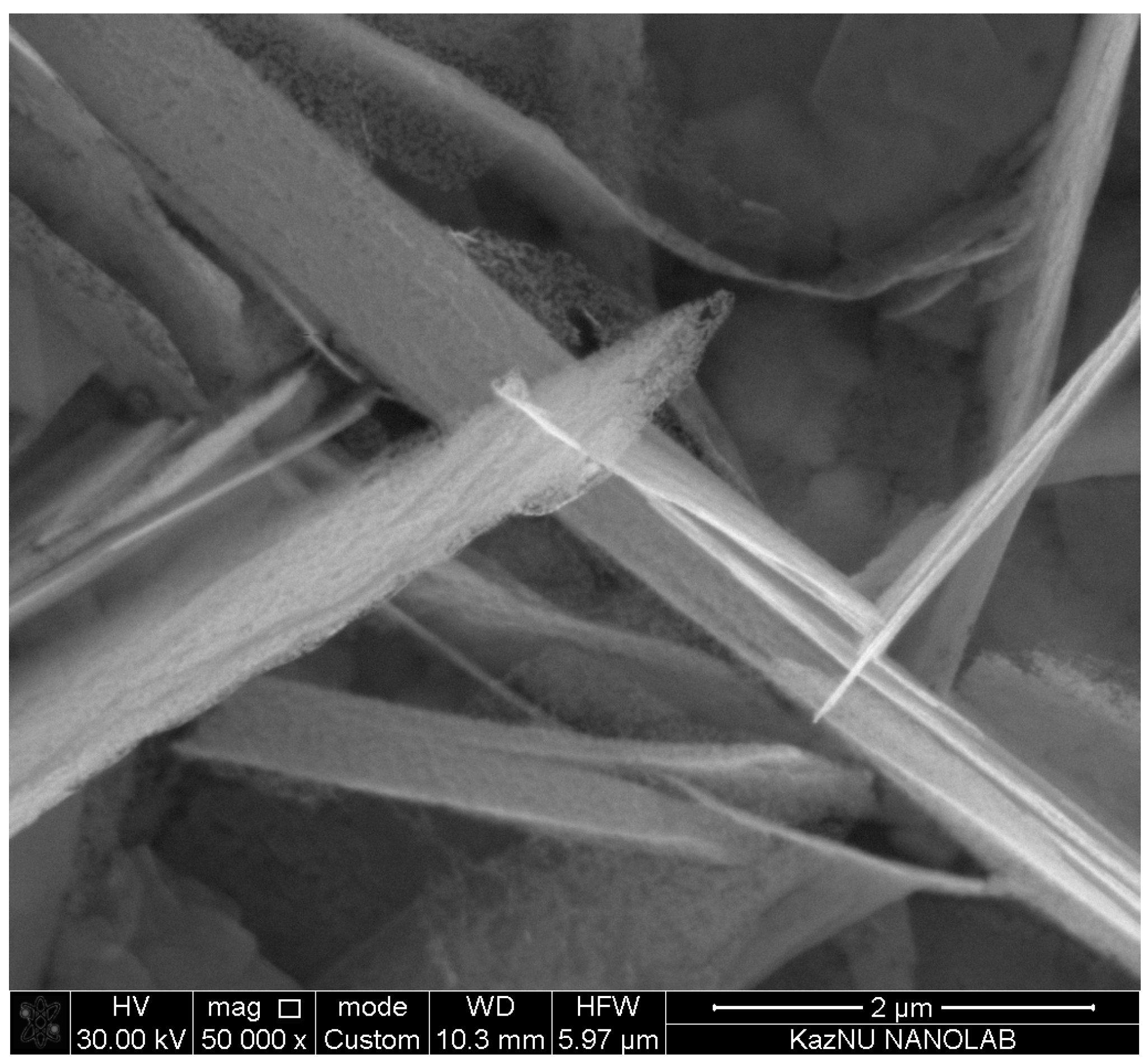 Chemengineering 07 00022 g006