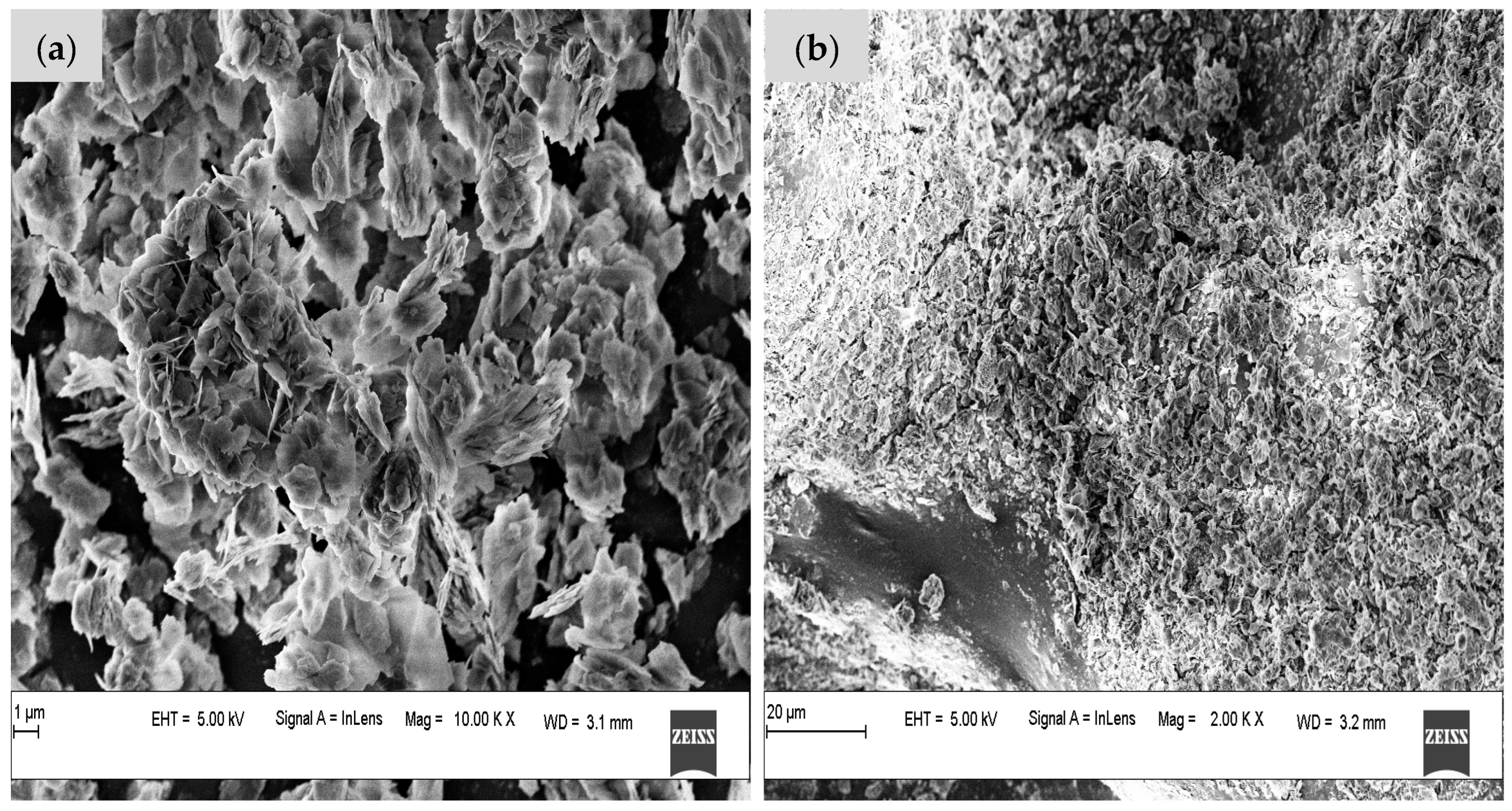 Chemengineering 07 00031 g006