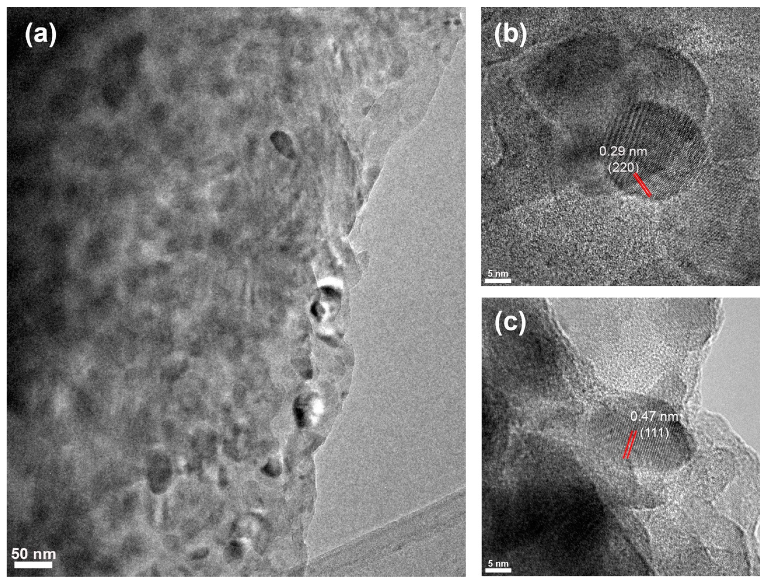Chemengineering 07 00037 g007