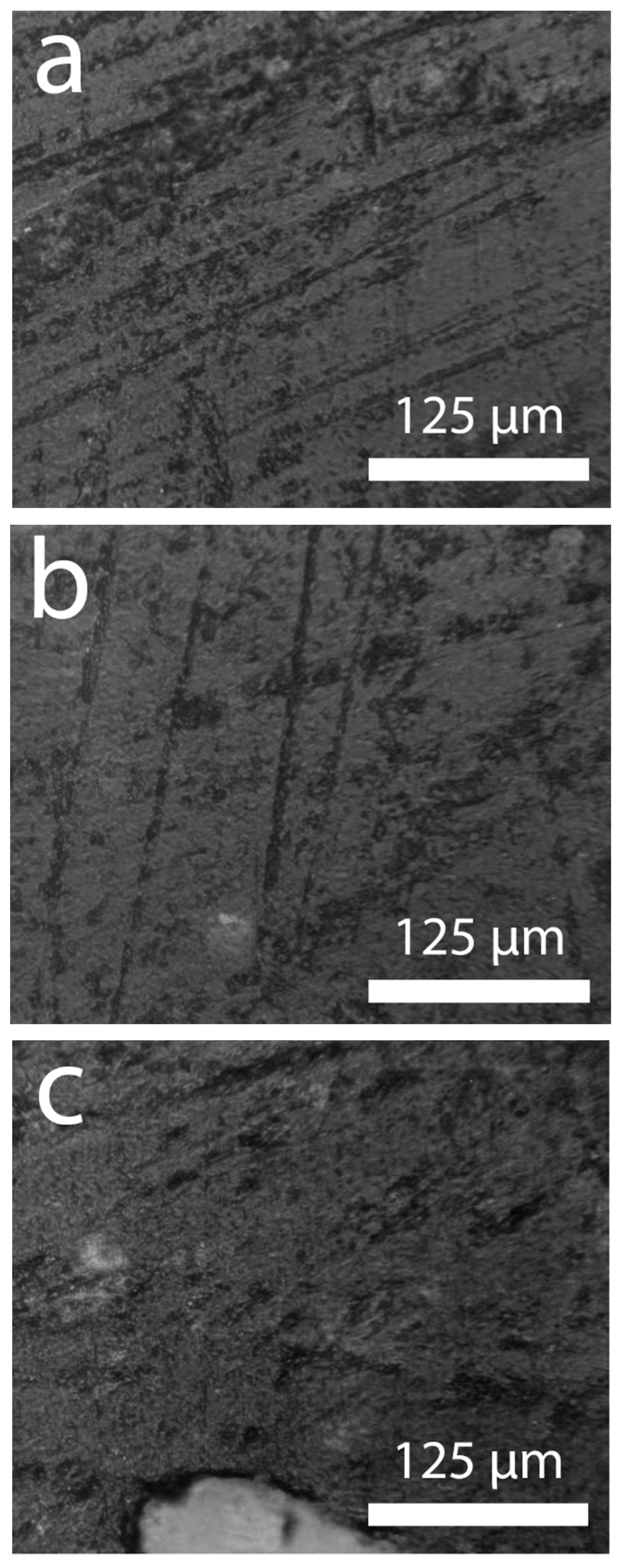 Chemengineering 07 00038 g010