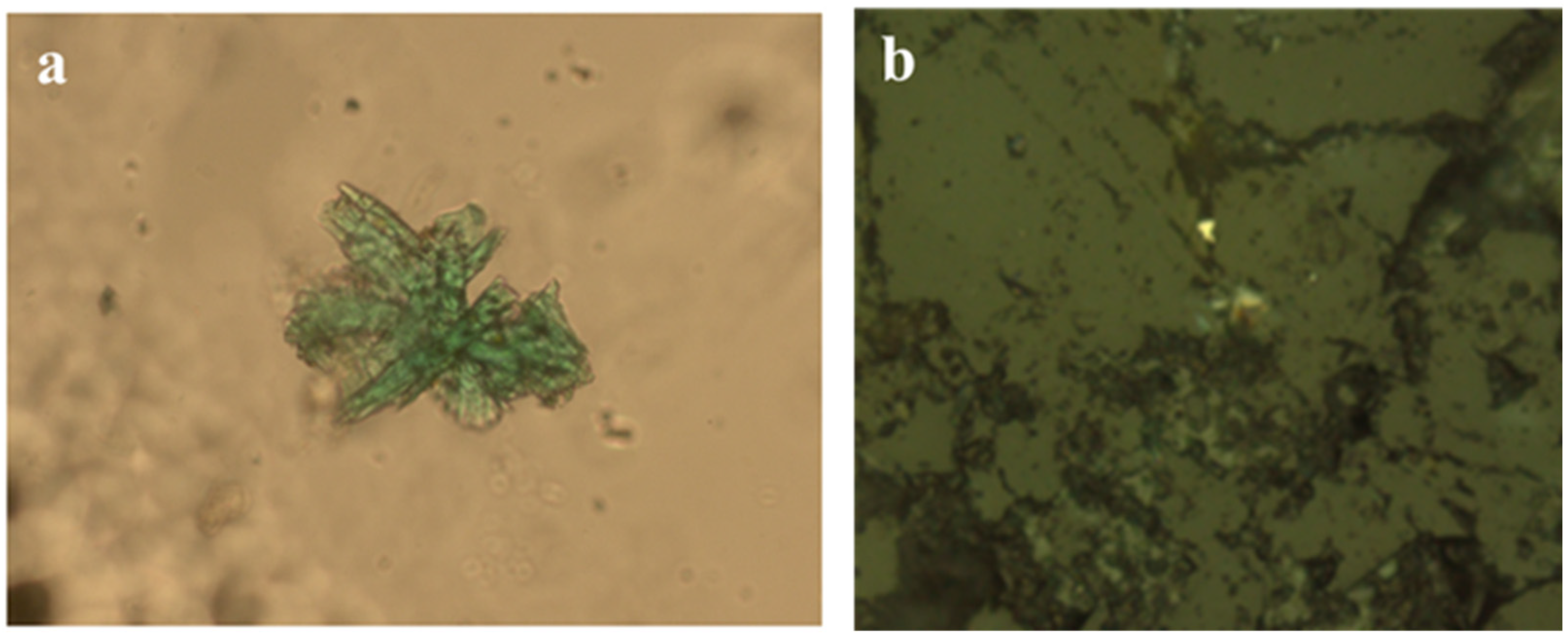 Chemengineering 07 00054 g003