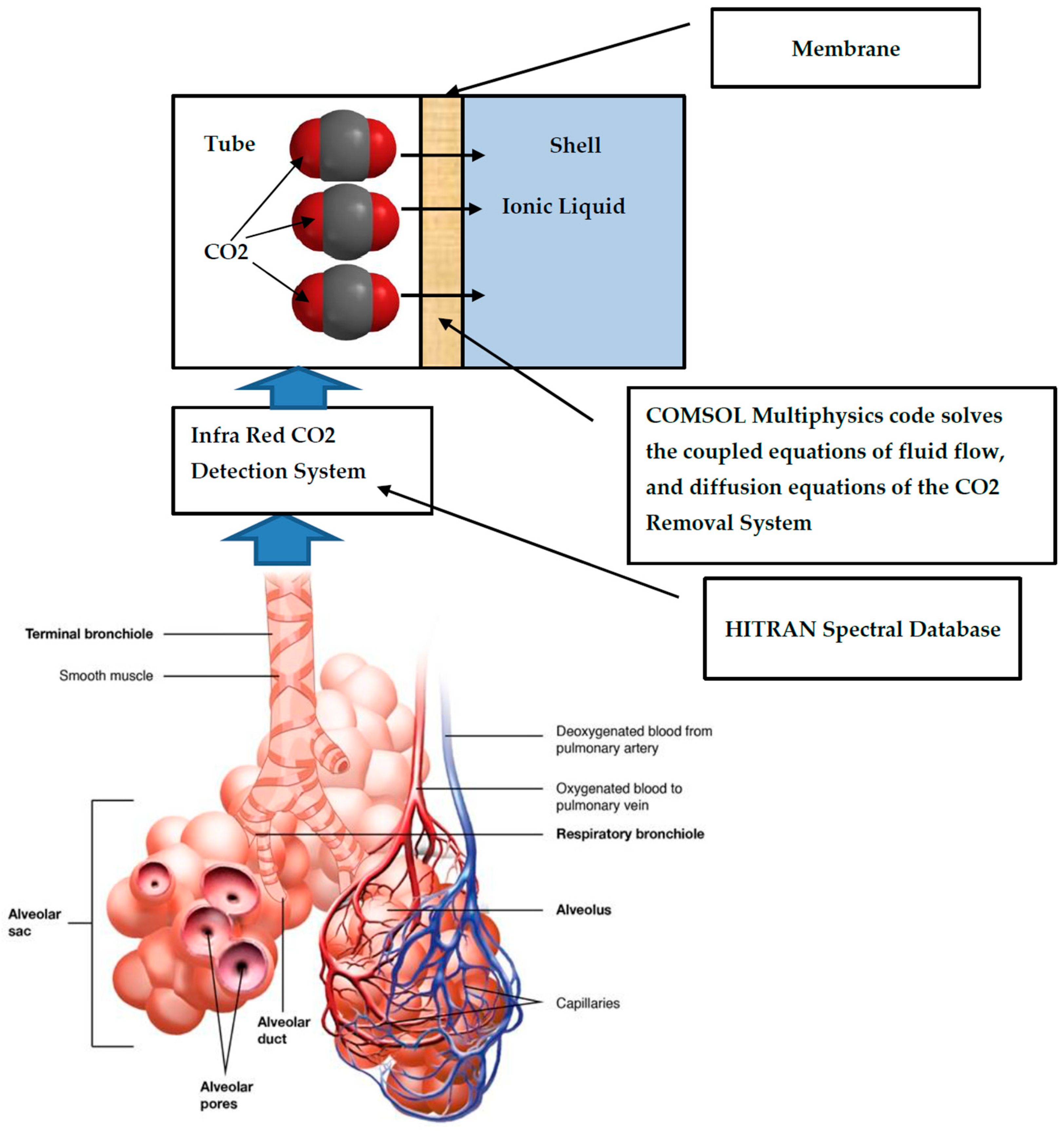 Chemengineering 07 00060 g002