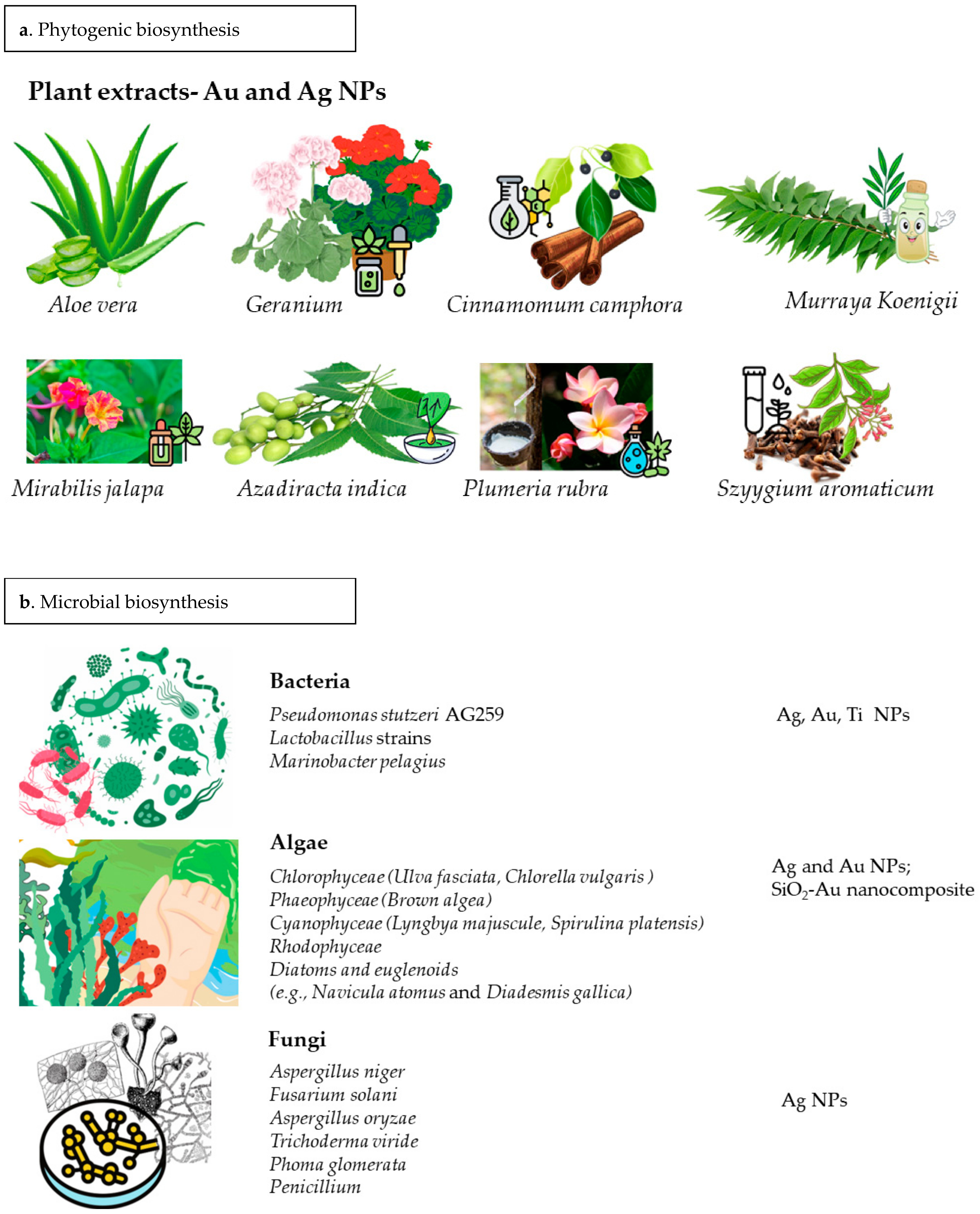 Chemengineering 07 00066 g004a Chemengineering 07 00066 g004a