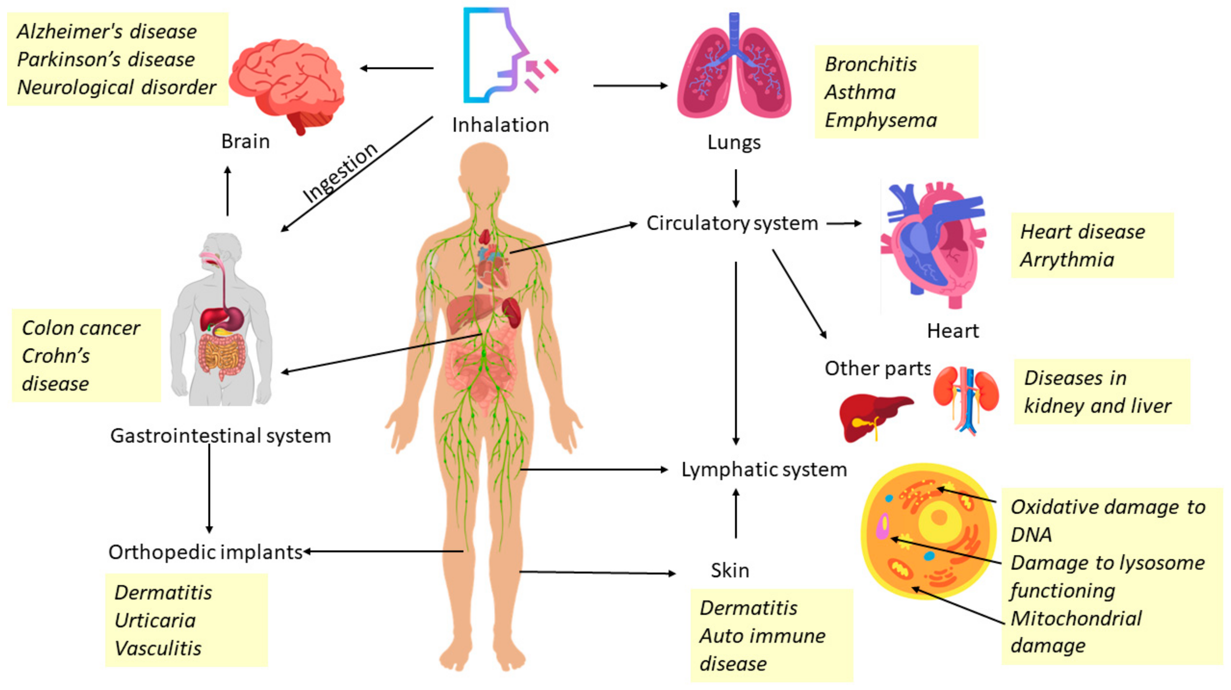 Chemengineering 07 00066 g017 Chemengineering 07 00066 g017