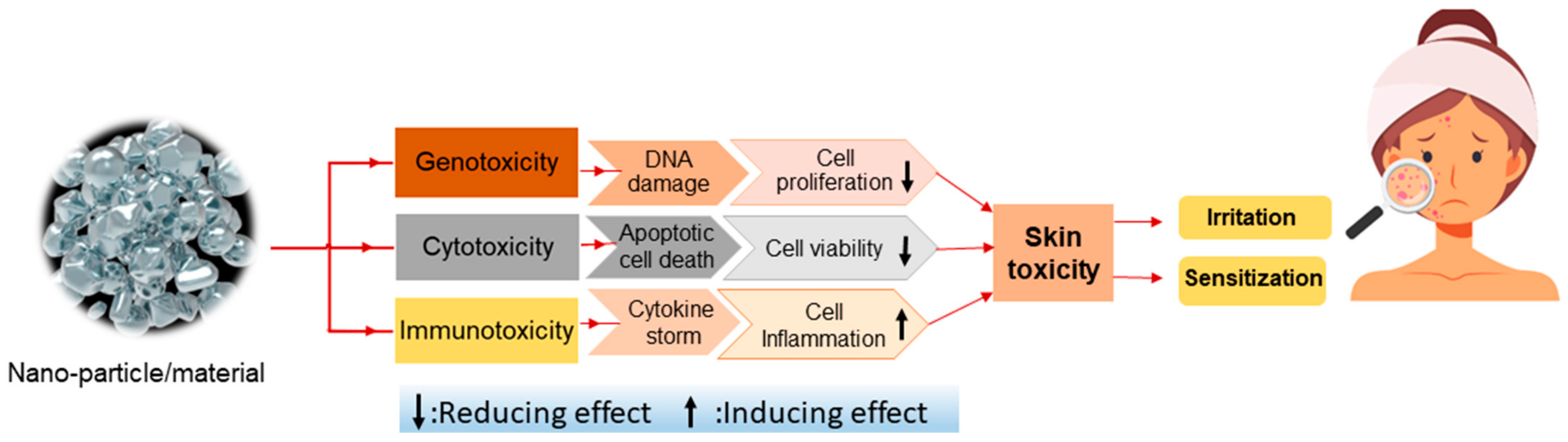 Chemengineering 07 00066 g018 Chemengineering 07 00066 g018