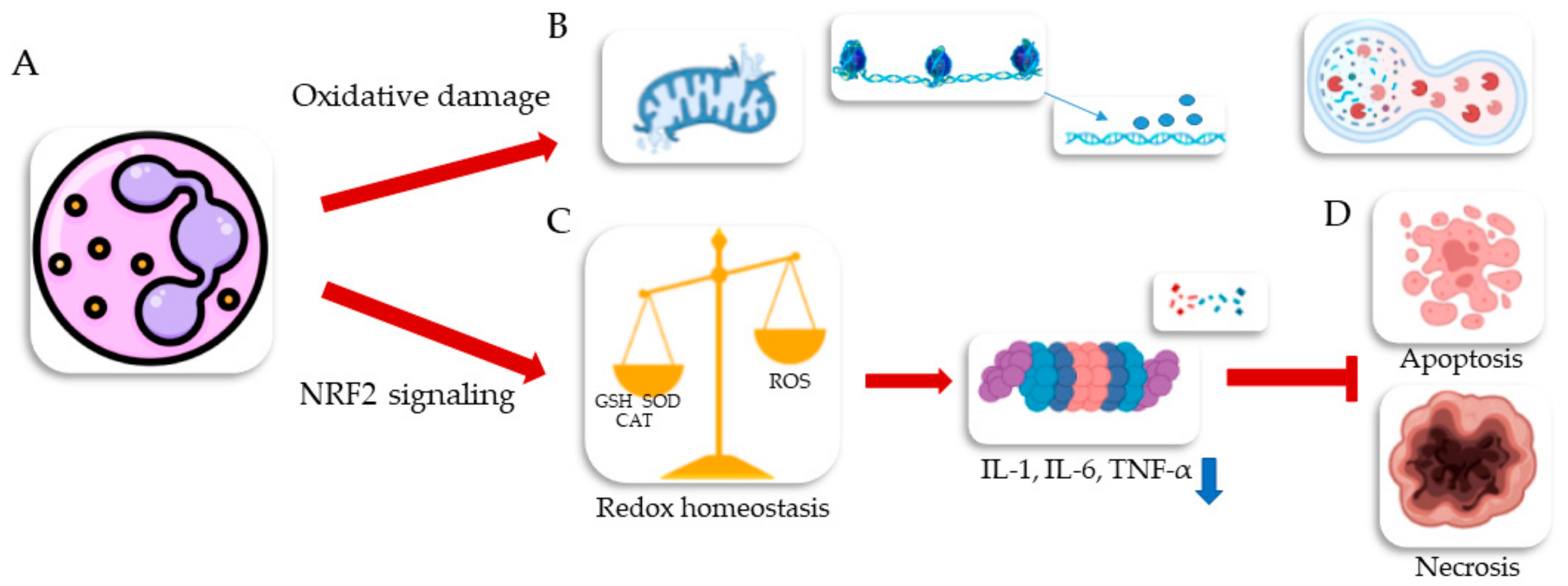 Chemengineering 07 00066 g019 Chemengineering 07 00066 g019