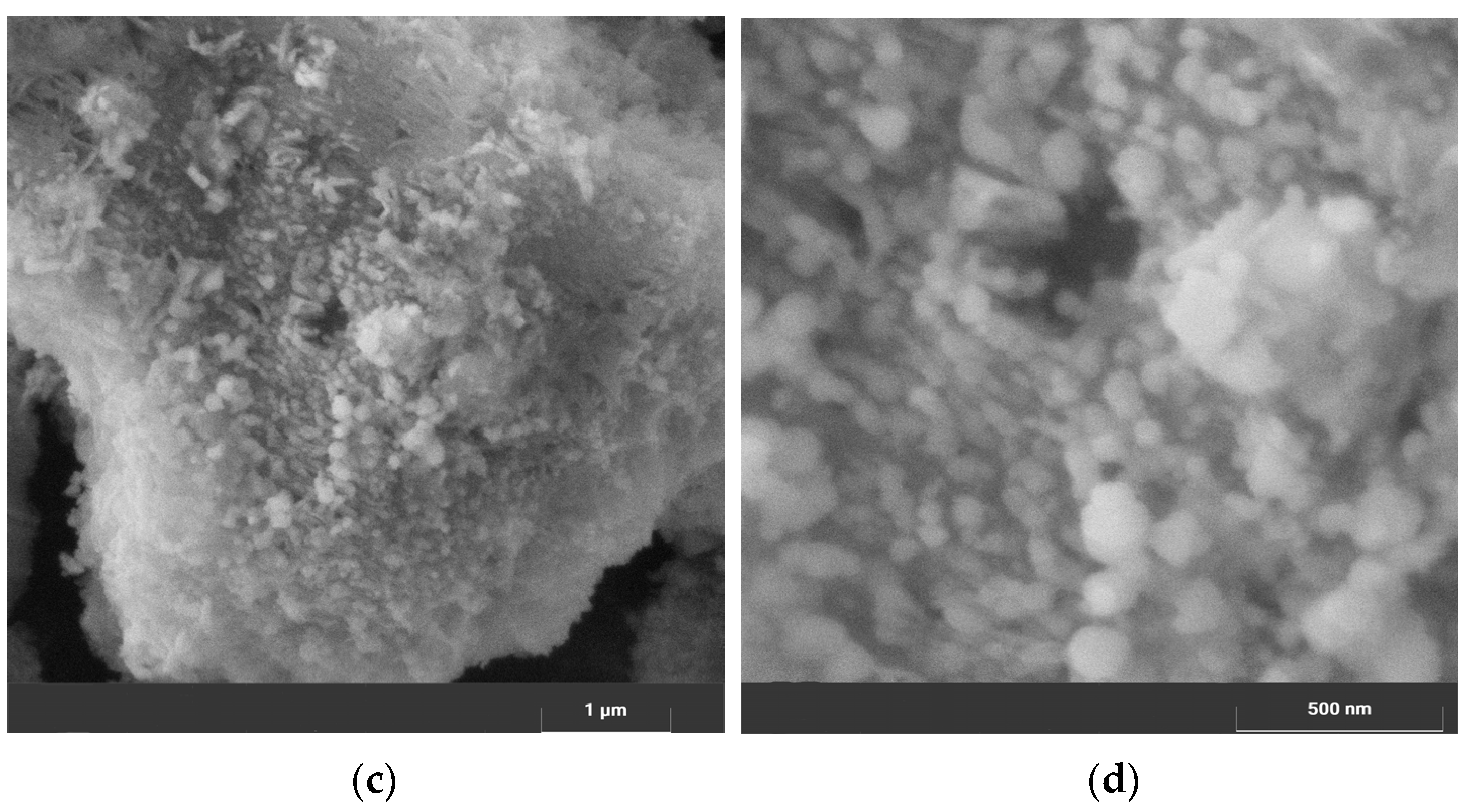 Chemengineering 07 00071 g007b