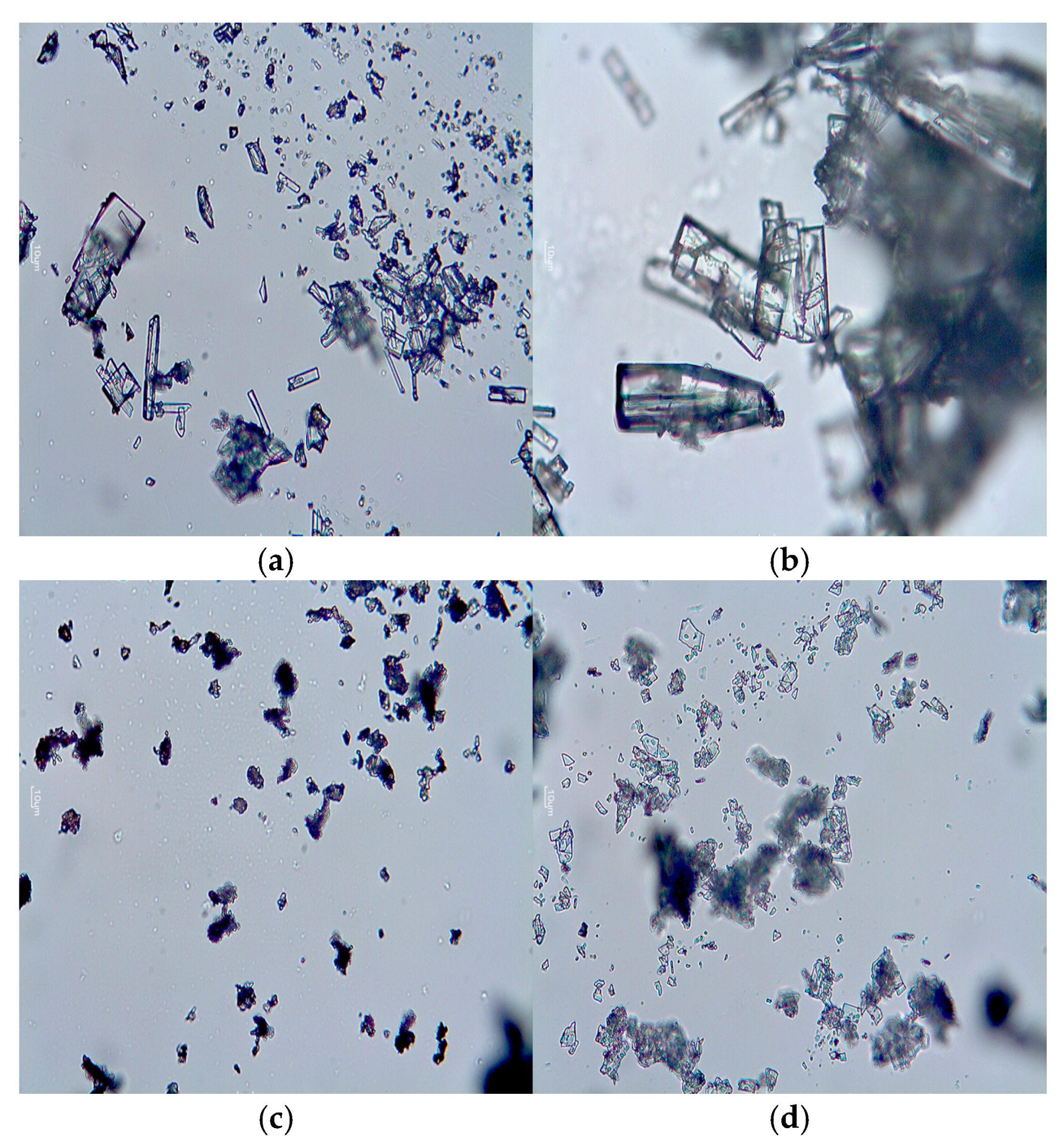 Chemengineering 07 00084 g001