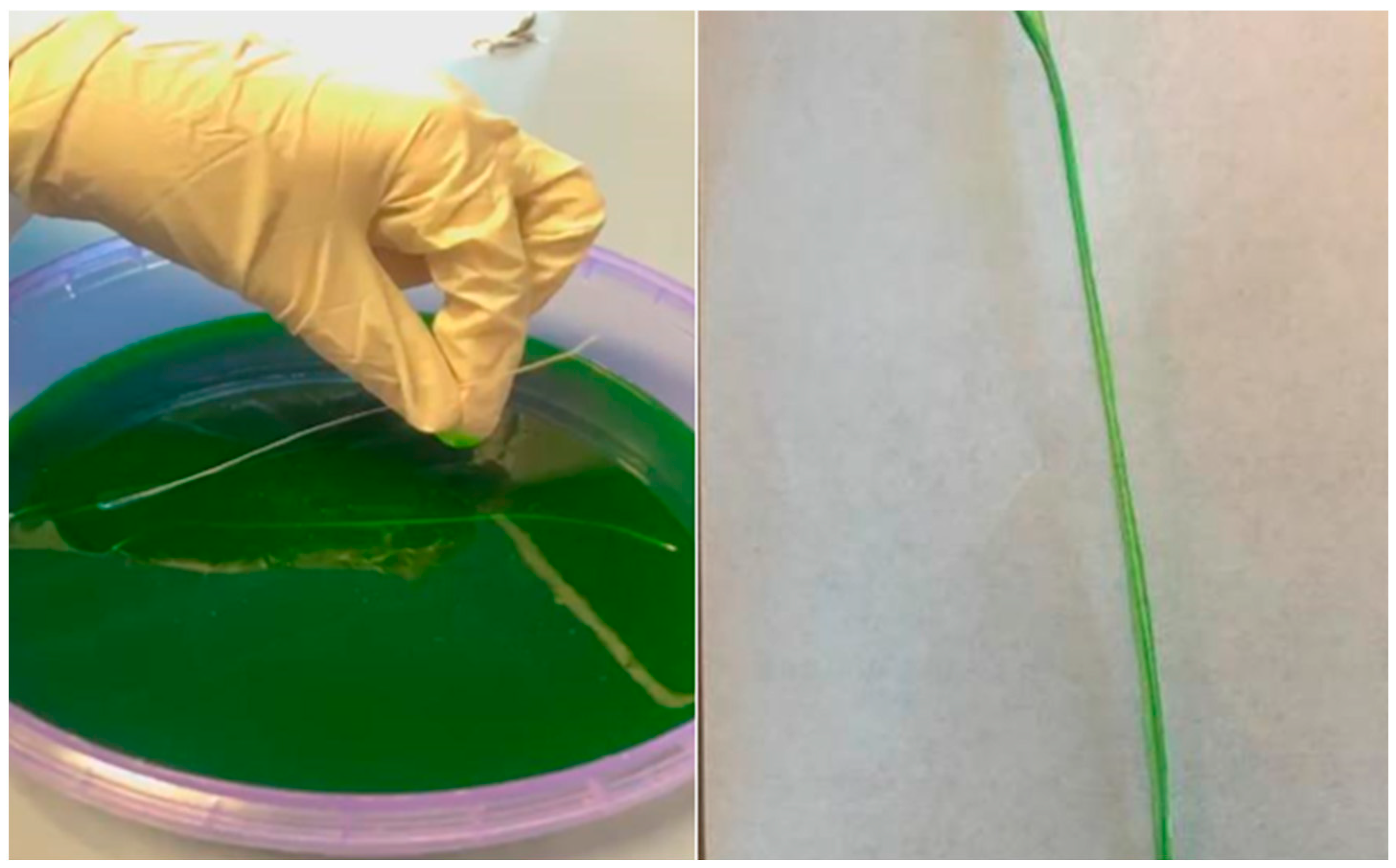 Chemengineering 07 00098 g002