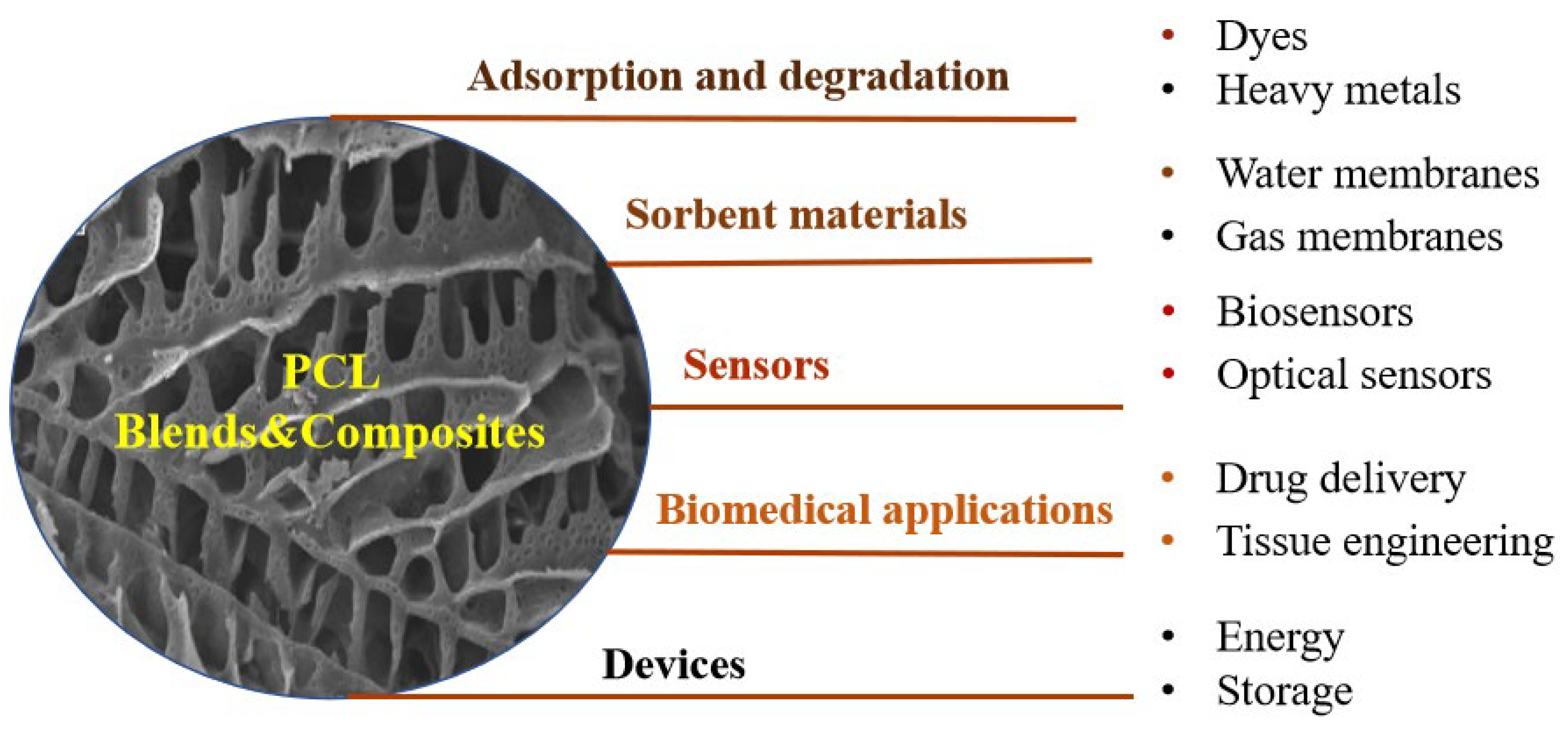Chemengineering 07 00104 g008