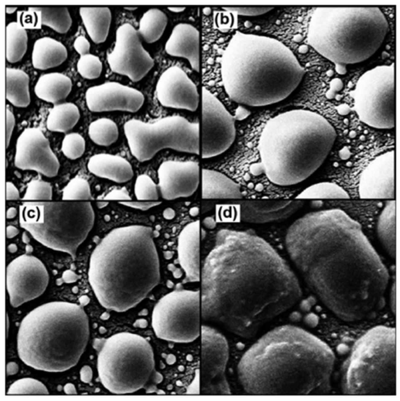 Chemengineering 08 00002 g002