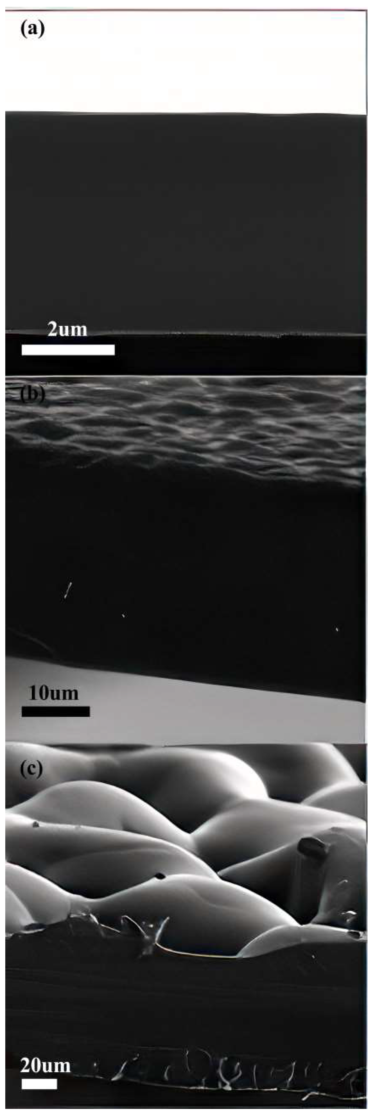 Chemengineering 08 00002 g004
