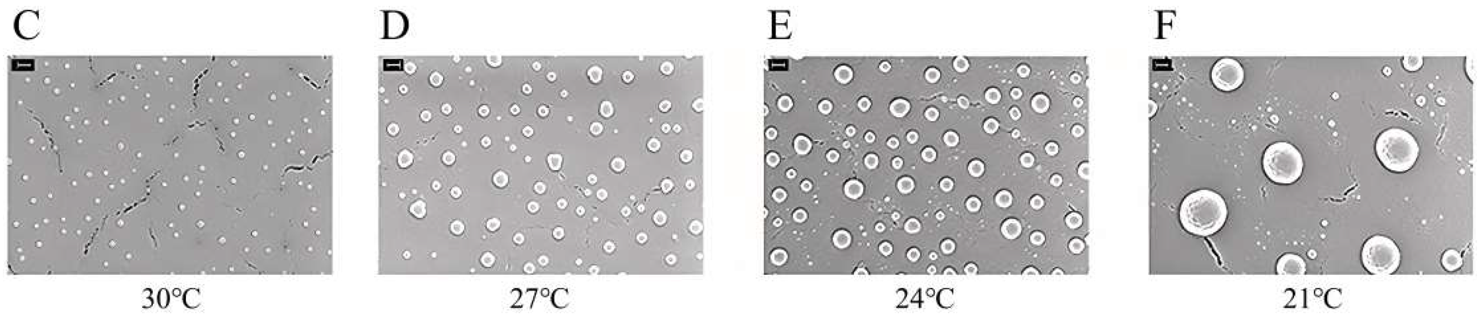 Chemengineering 08 00002 g006
