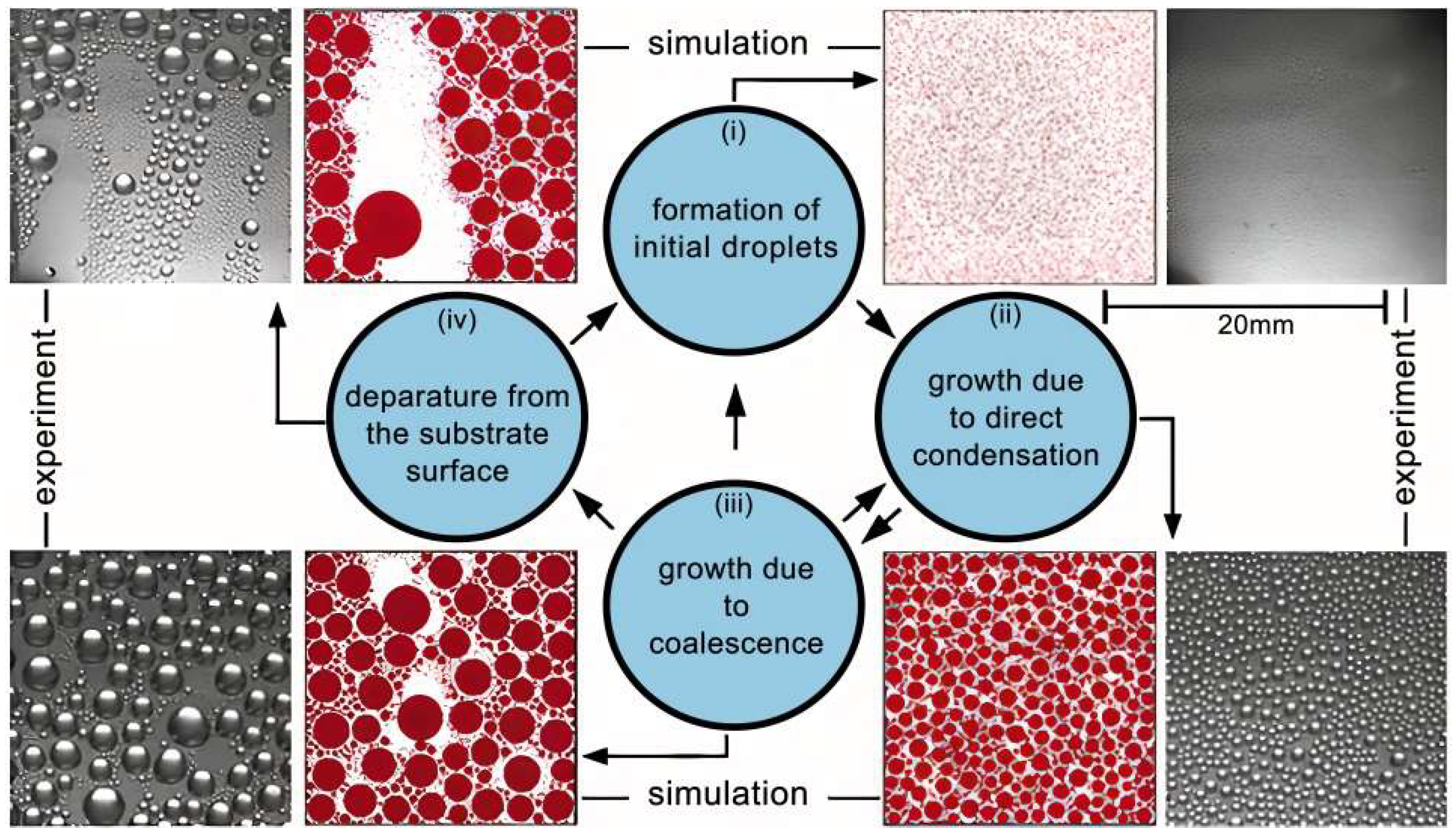 Chemengineering 08 00002 g008