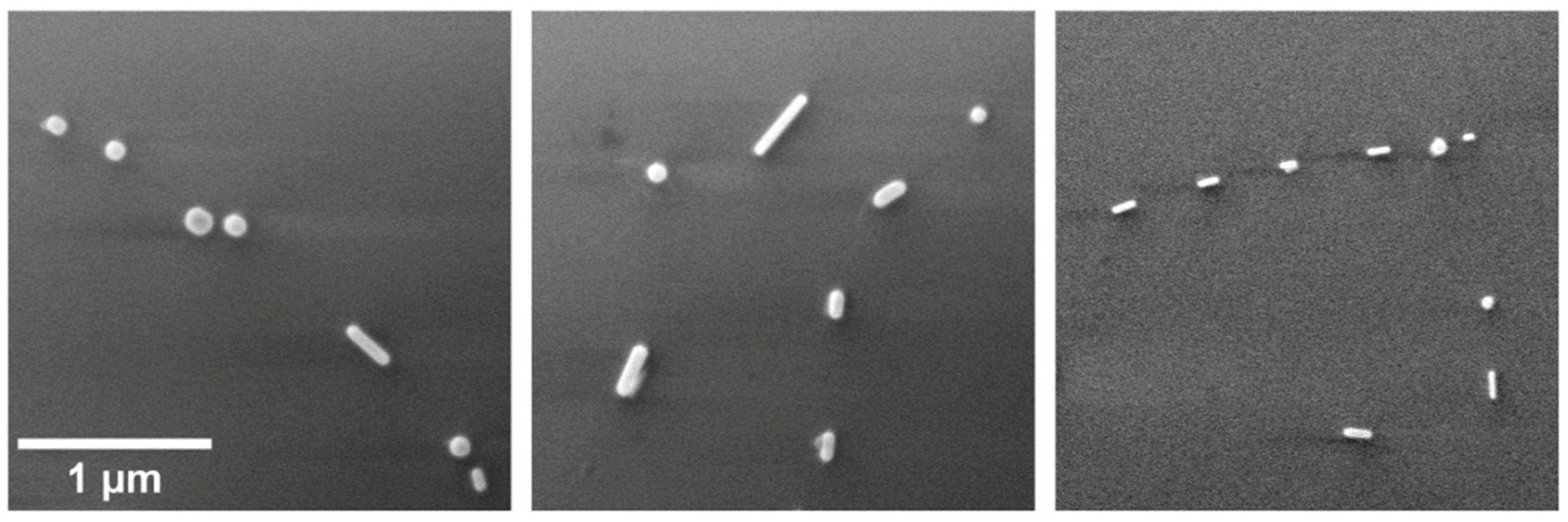 Chemengineering 08 00015 g004