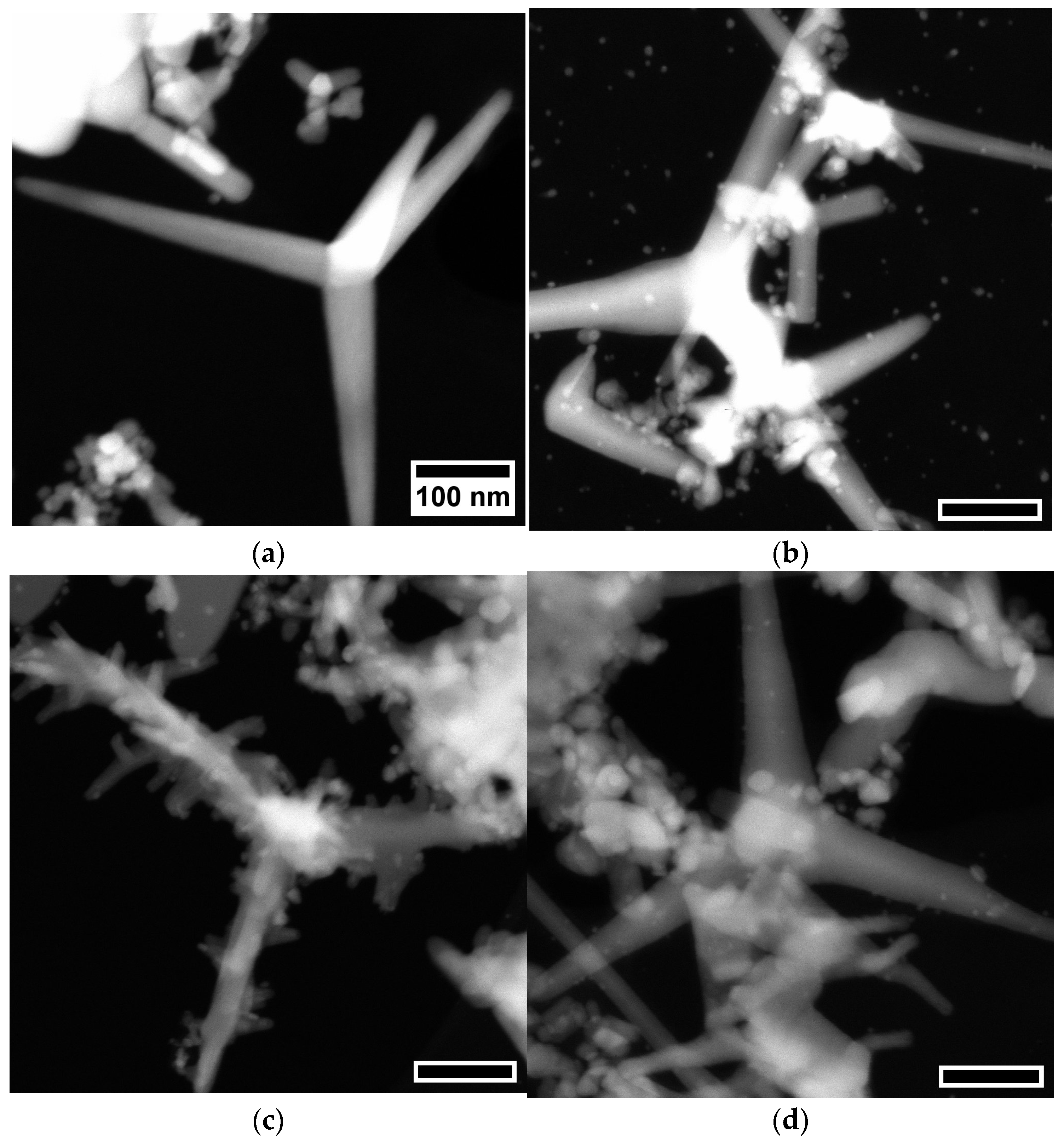 Chemengineering 08 00019 g003