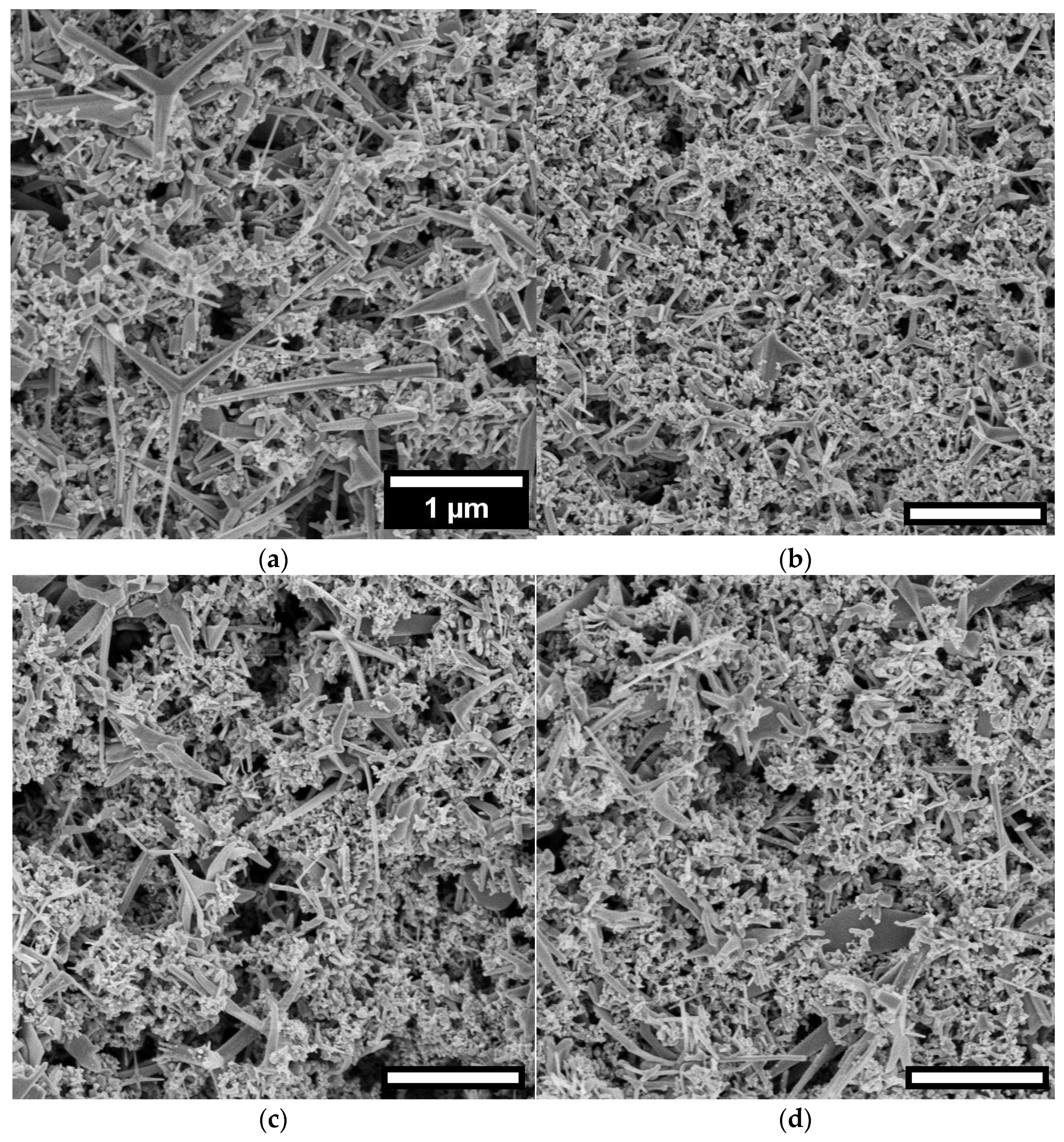 Chemengineering 08 00019 g005