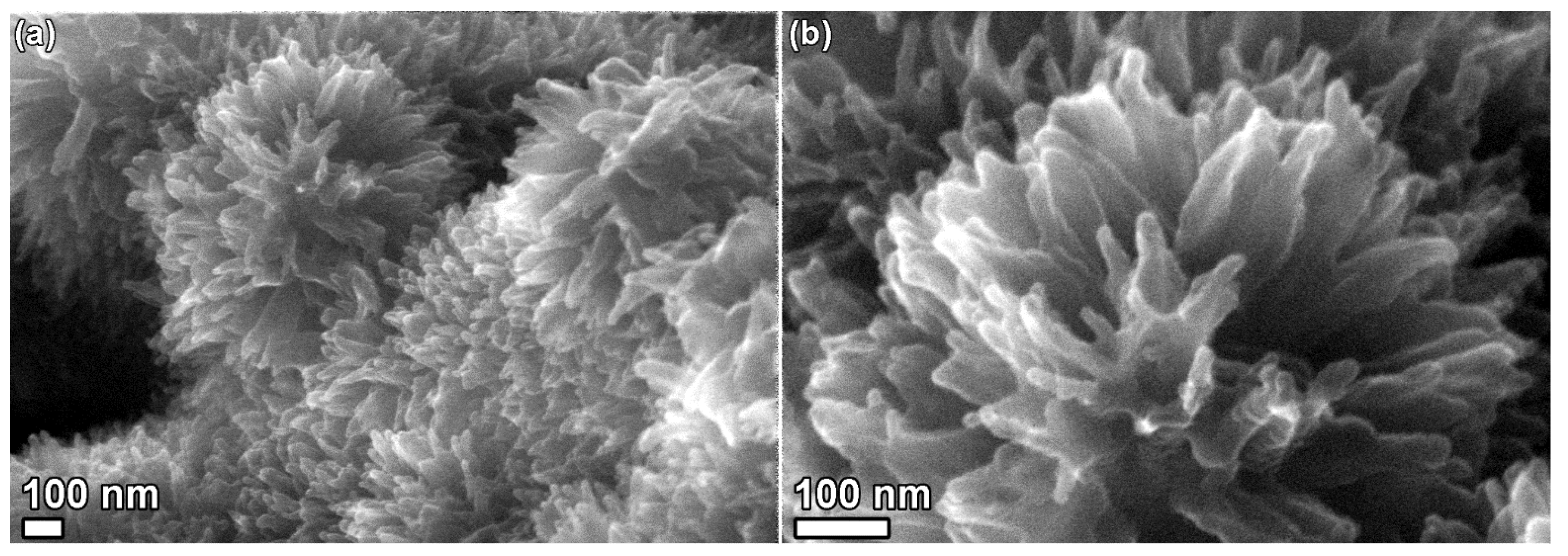 Chemengineering 08 00024 g001