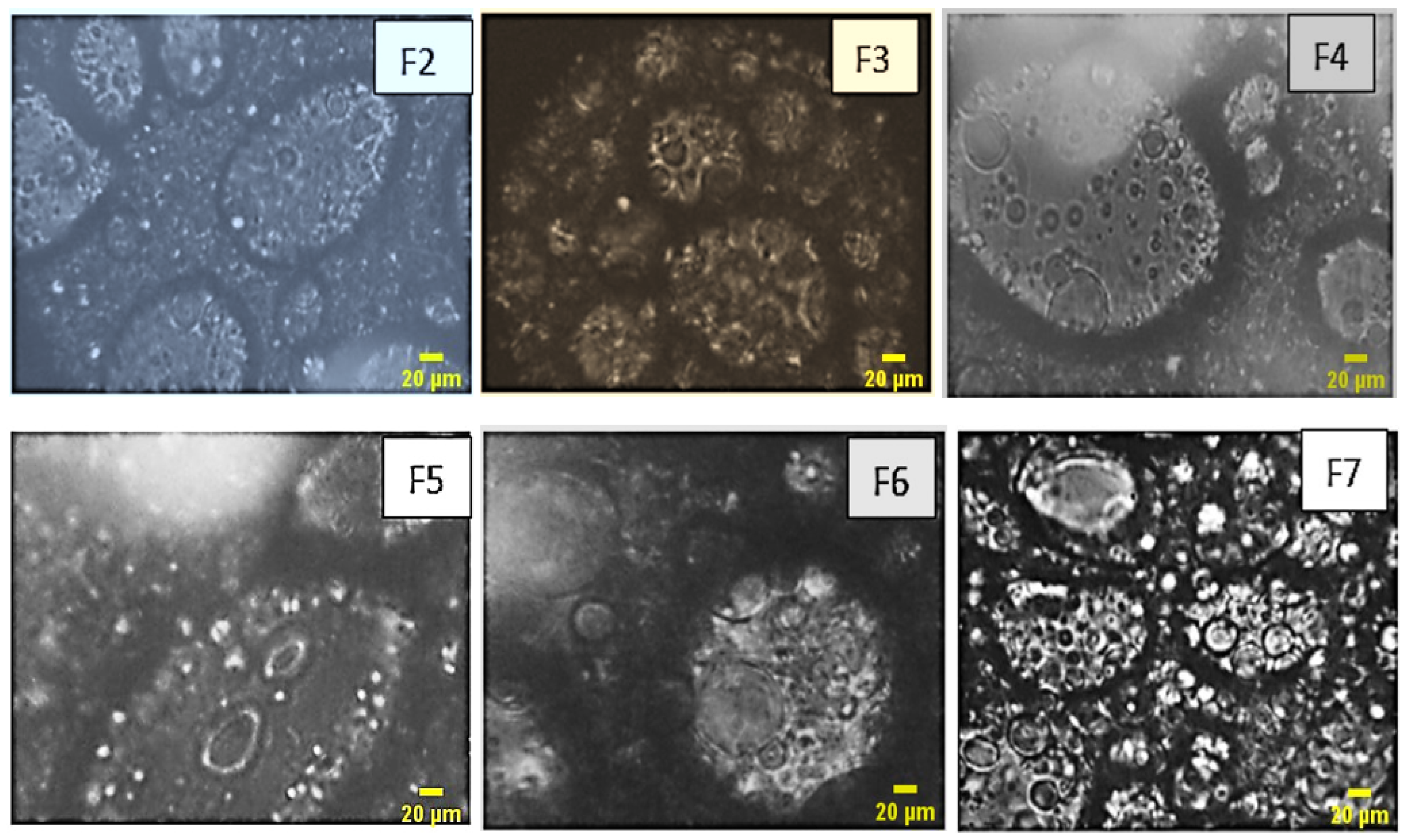 Chemengineering 08 00034 g005