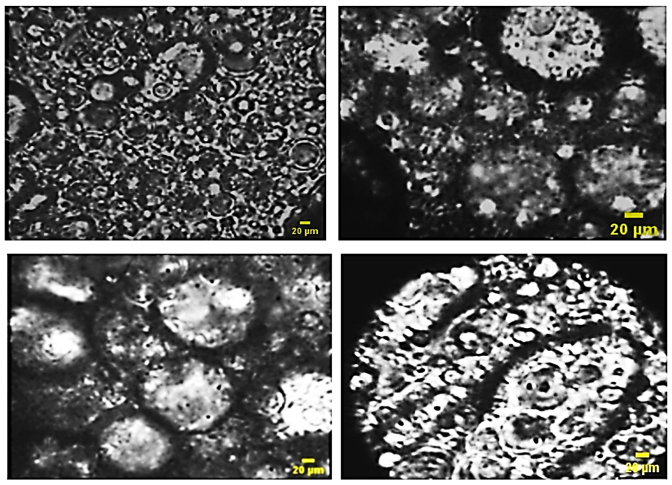 Chemengineering 08 00034 g008