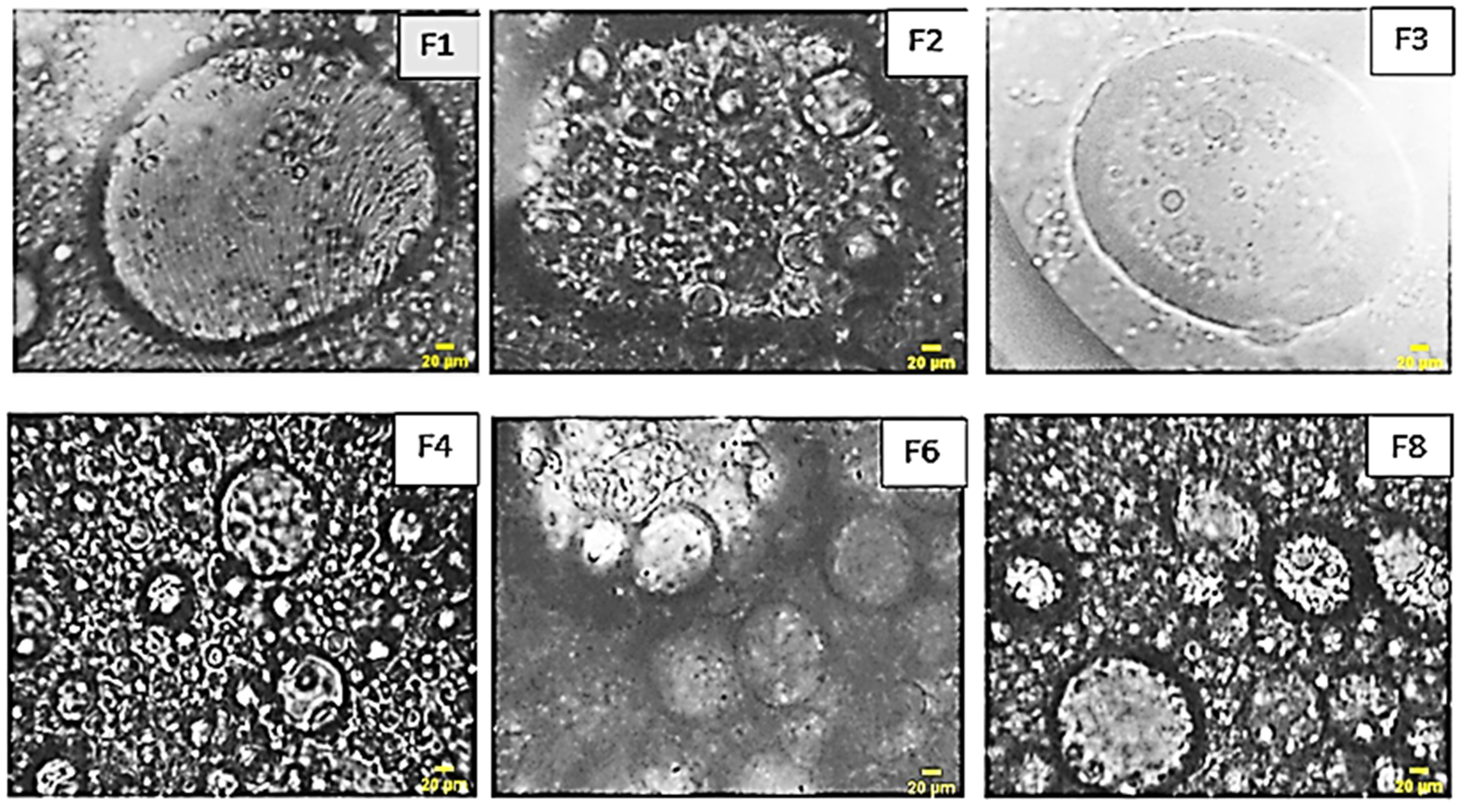 Chemengineering 08 00034 g010