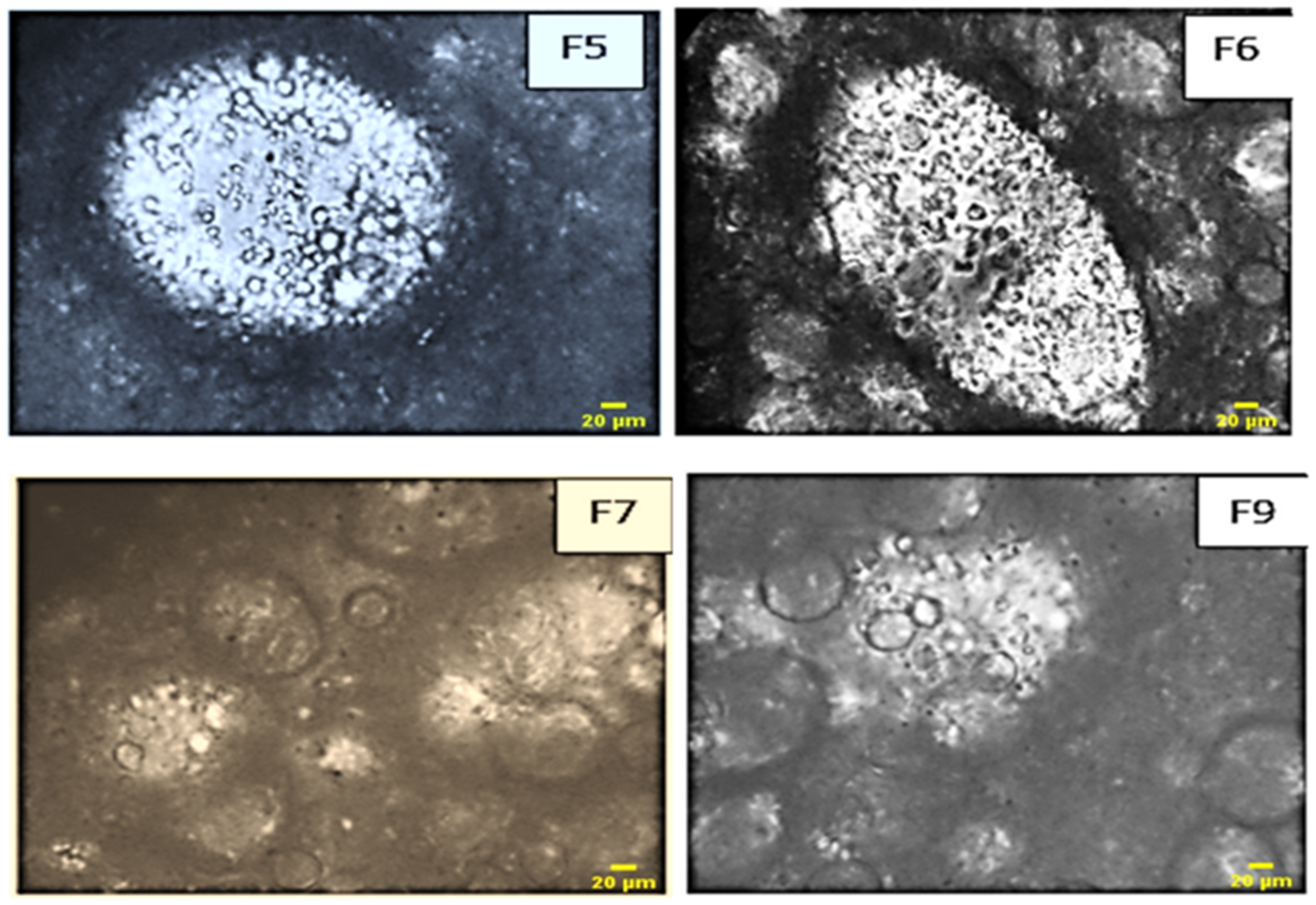 Chemengineering 08 00034 g011