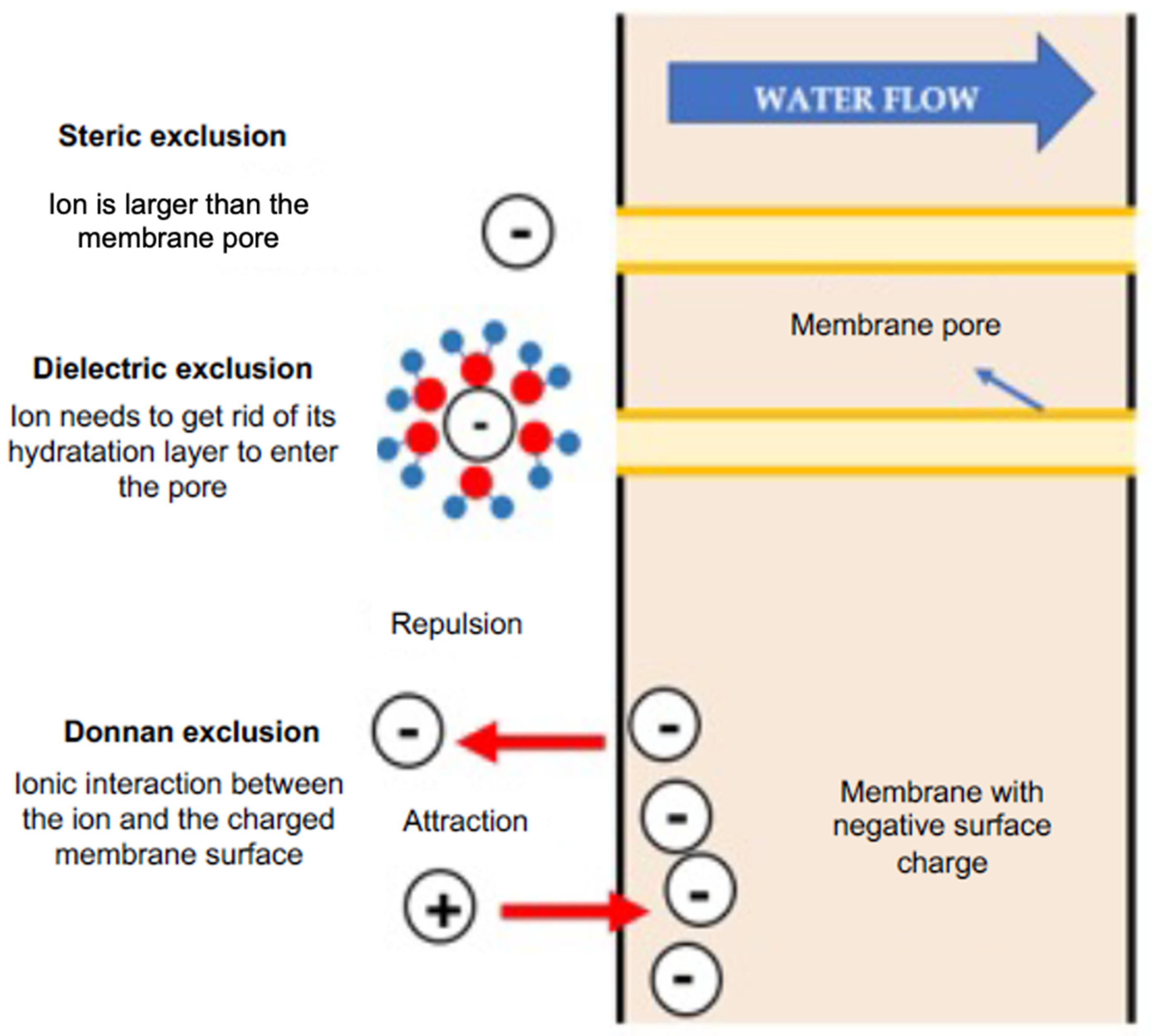 Chemengineering 08 00039 g003