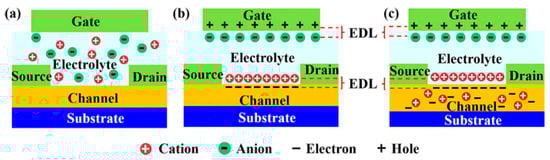 Chemengineering 08 00053 g012