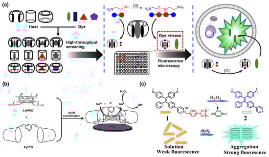 Chemengineering 08 00066 g003