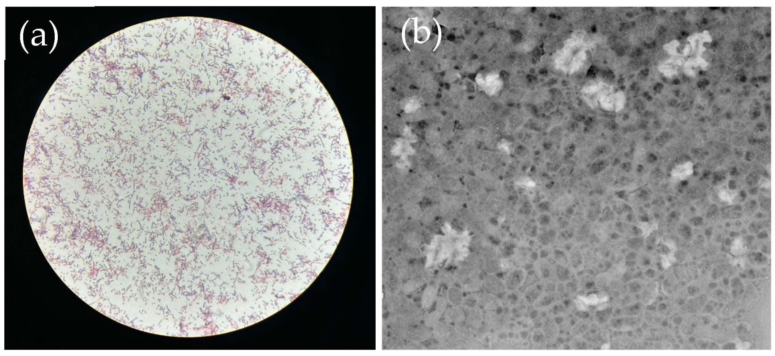 Chemengineering 08 00073 g004
