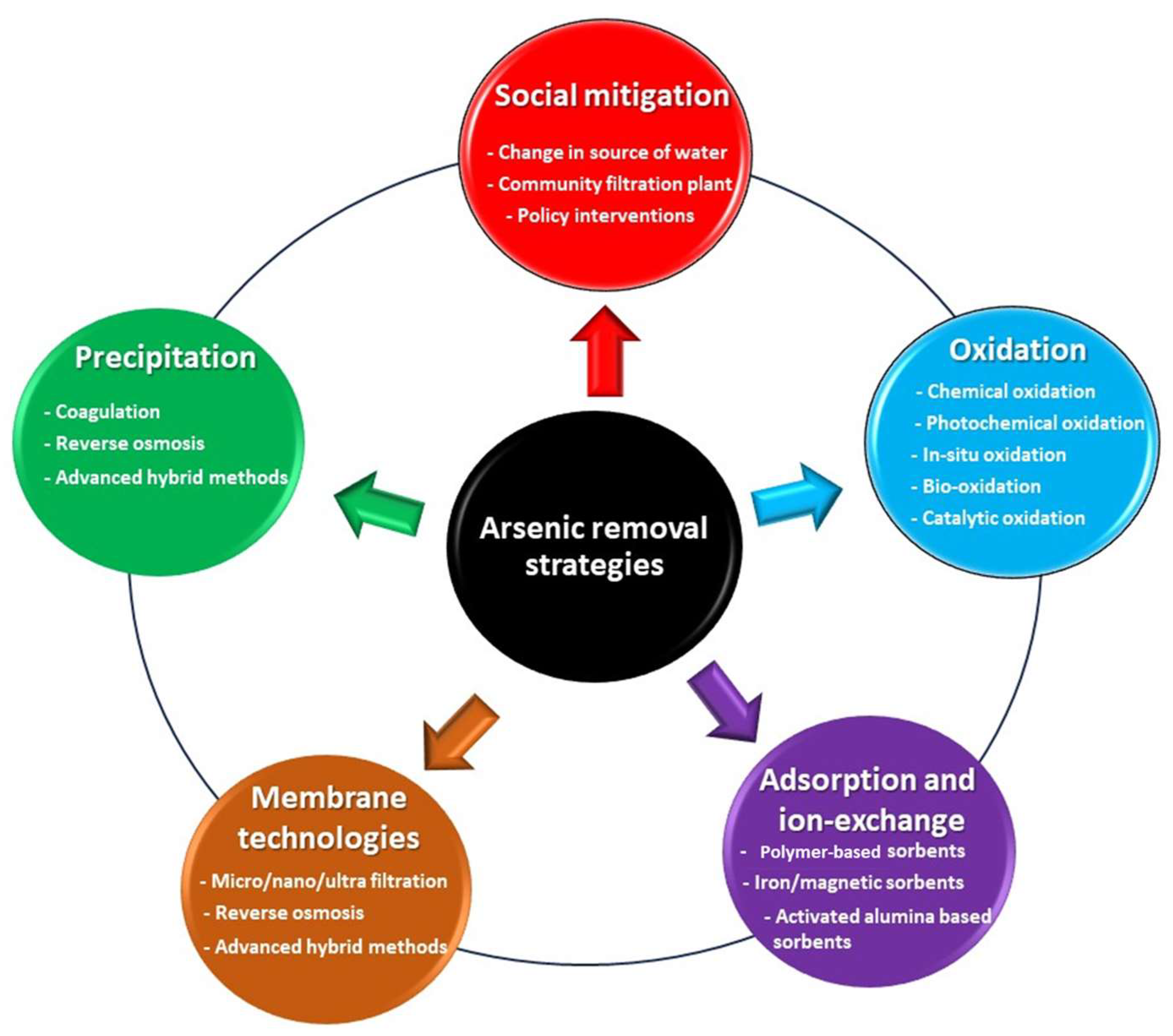 Chemengineering 08 00078 g006
