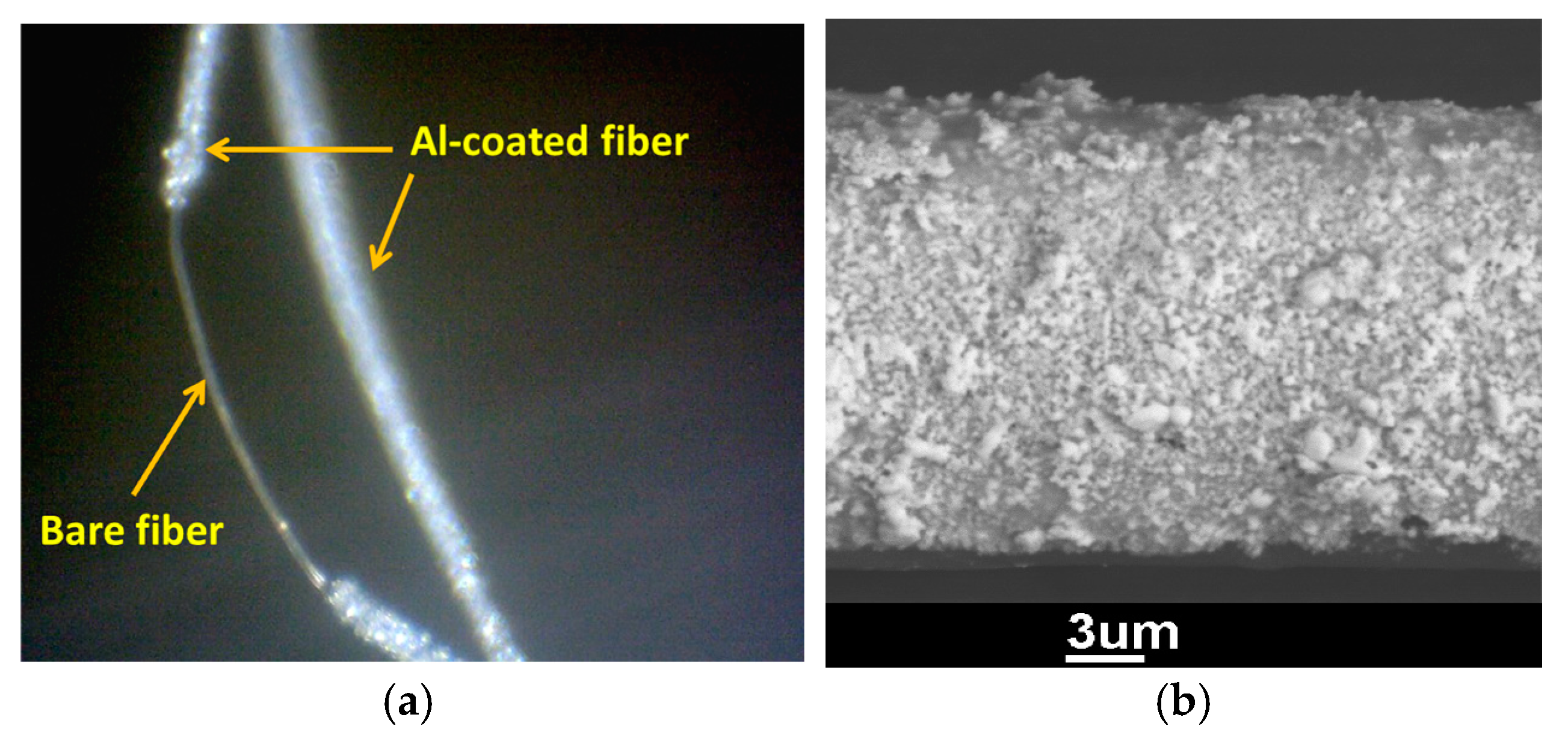 Chemengineering 09 00016 g003