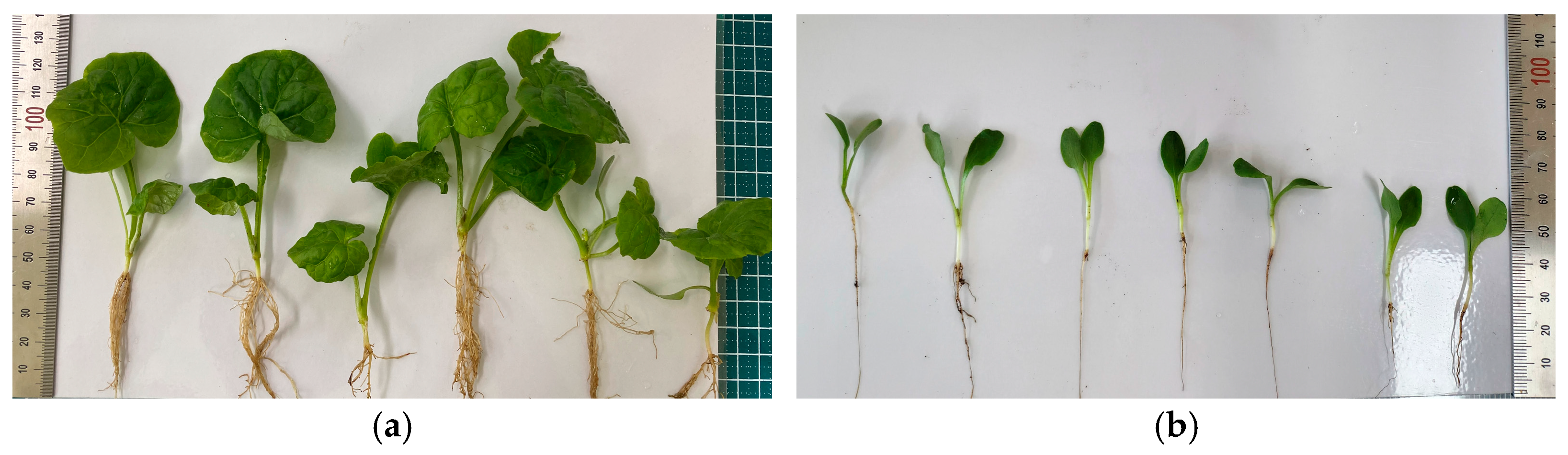 Chemengineering 09 00031 g001