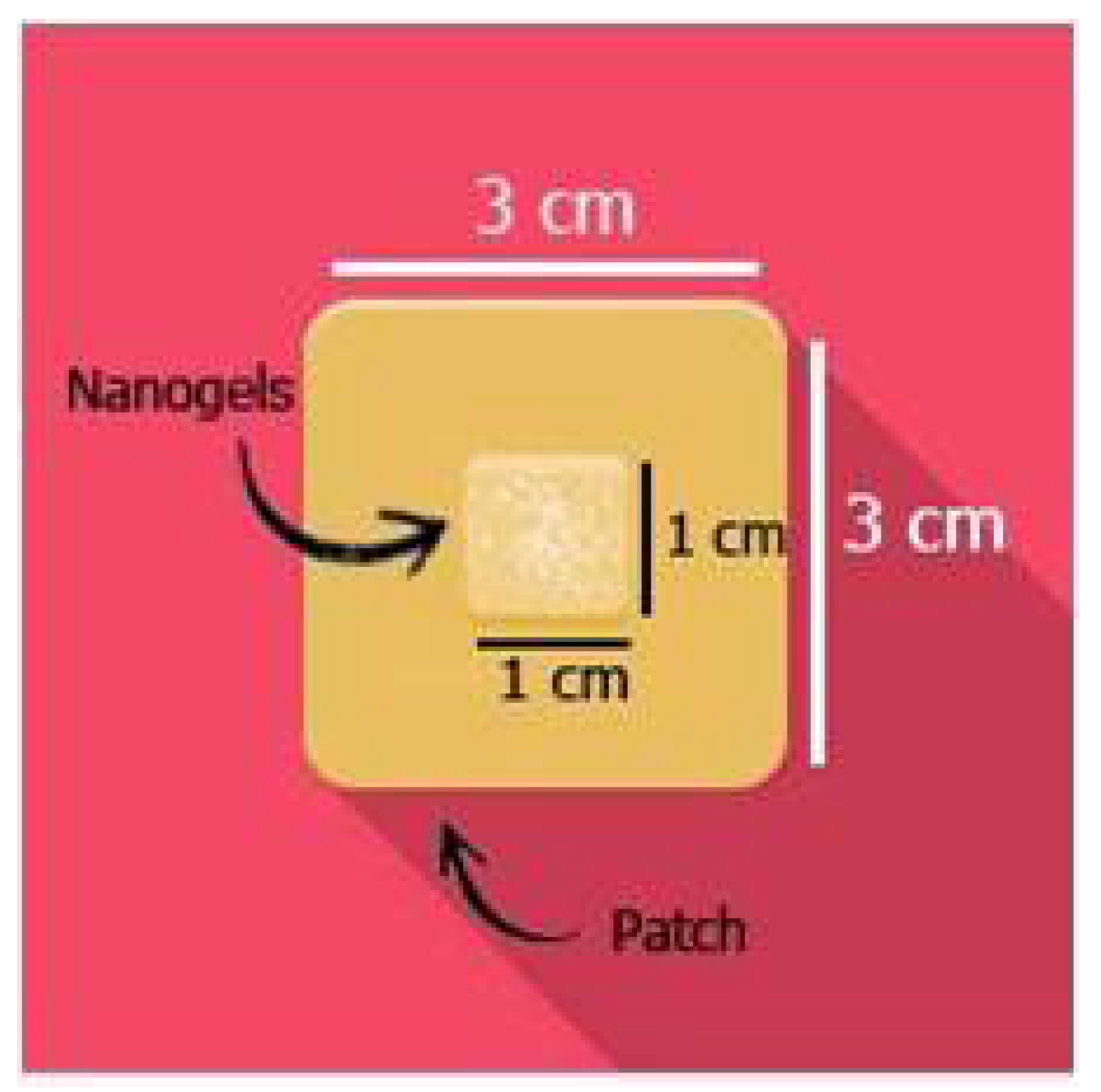 Chemengineering 09 00035 g002