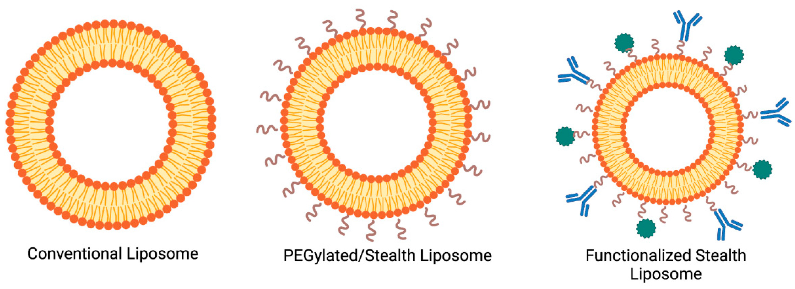 Chemengineering 09 00056 g001
