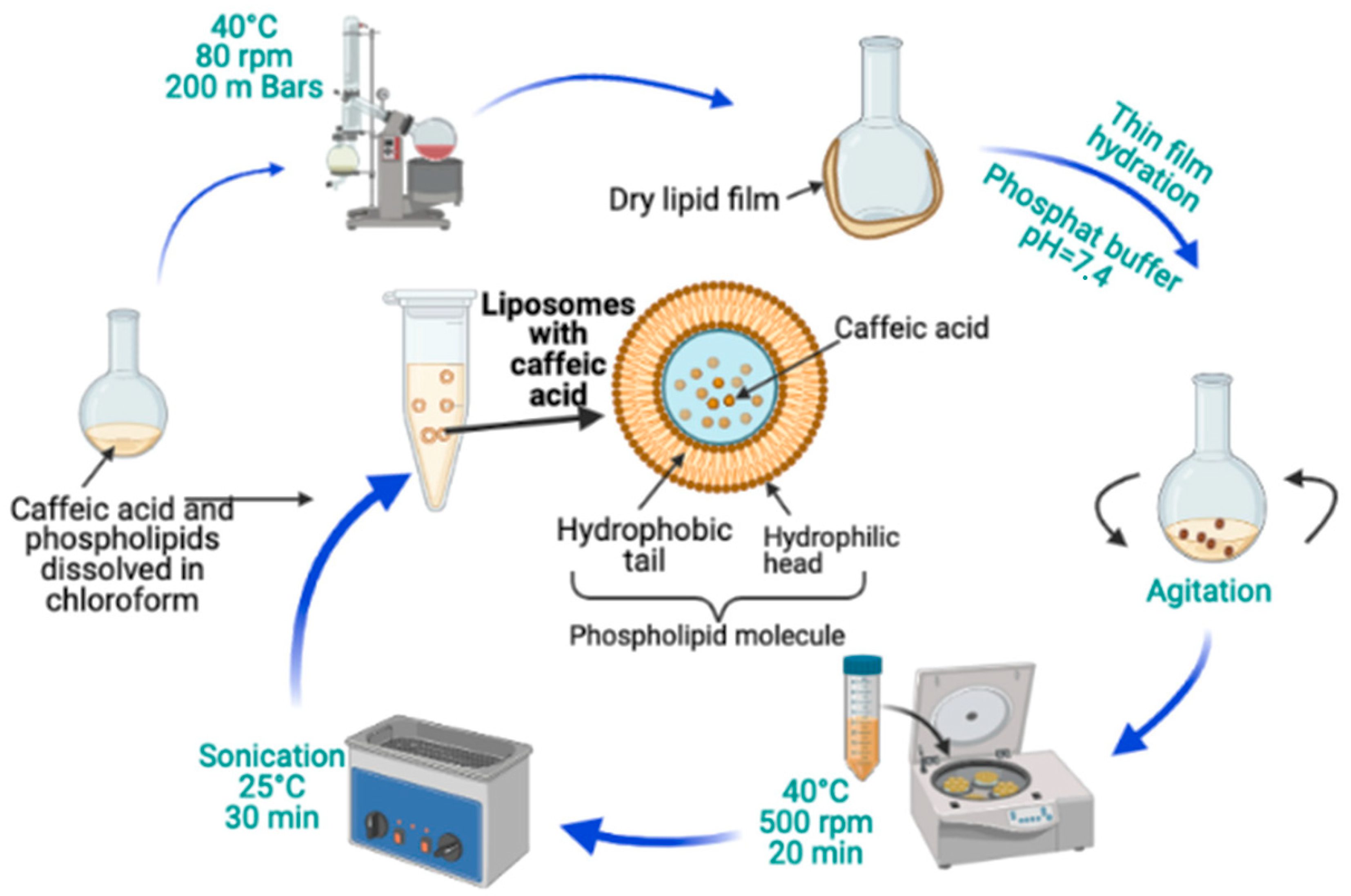 Chemengineering 09 00056 g005