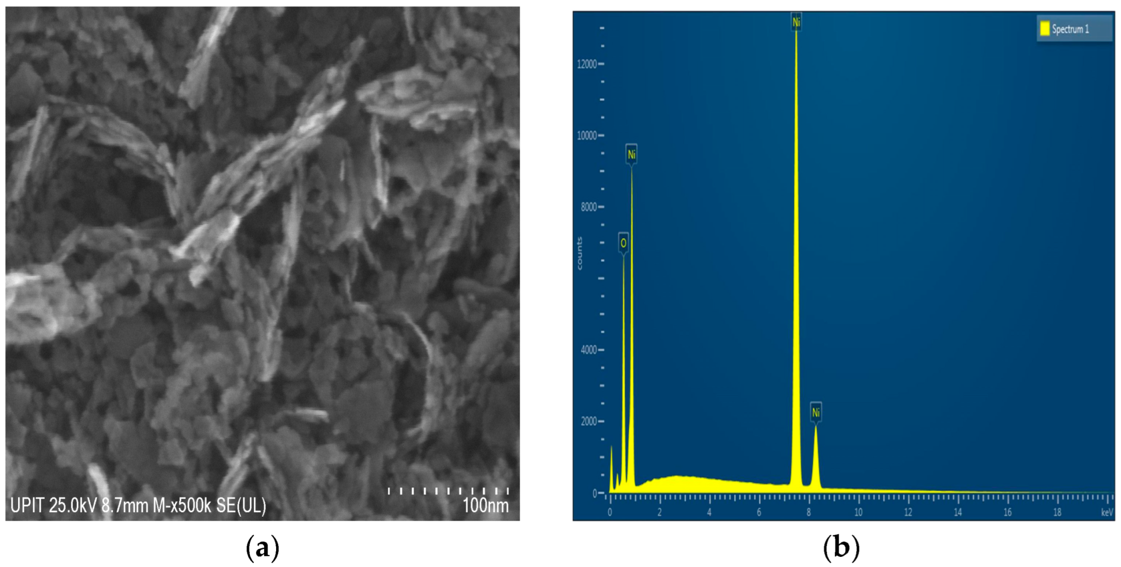 Chemengineering 09 00077 g005