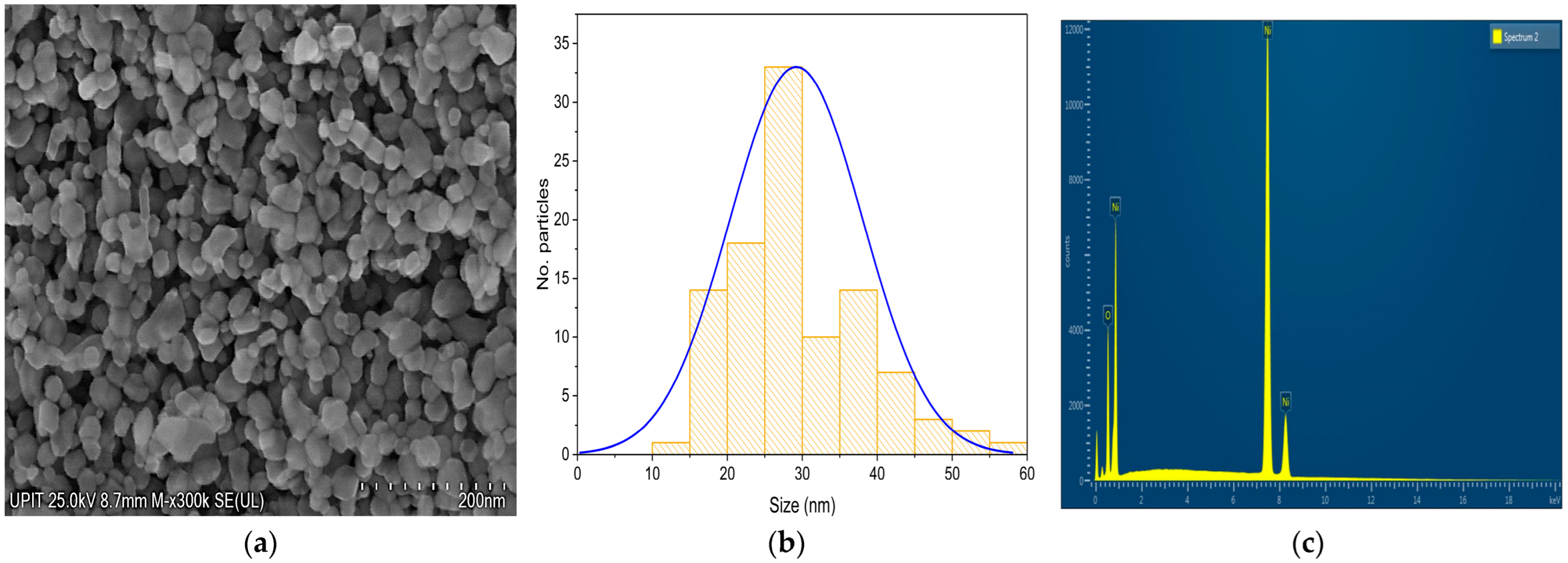 Chemengineering 09 00077 g006