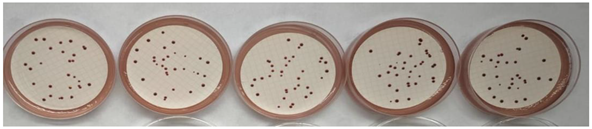 Chemengineering 09 00077 i006