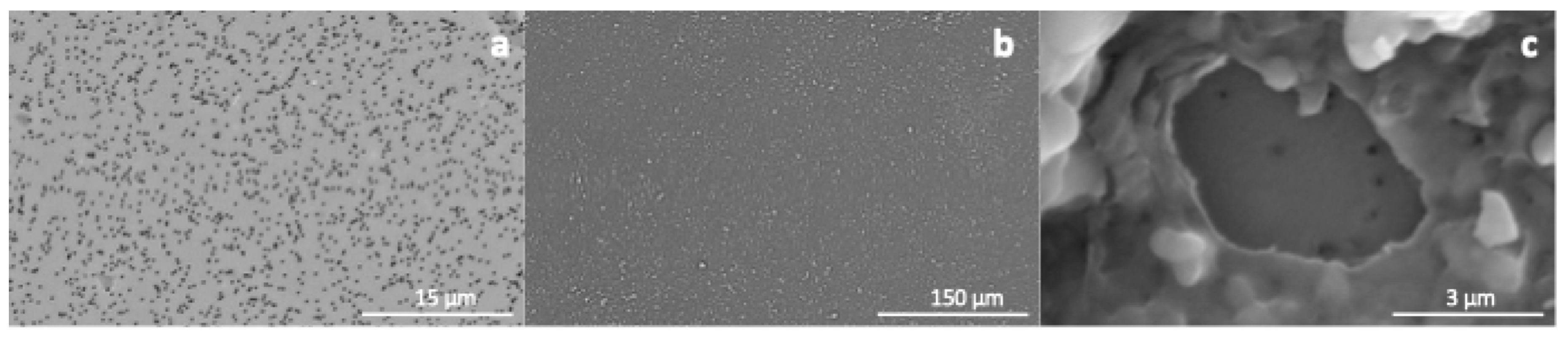 Chemengineering 09 00088 g005